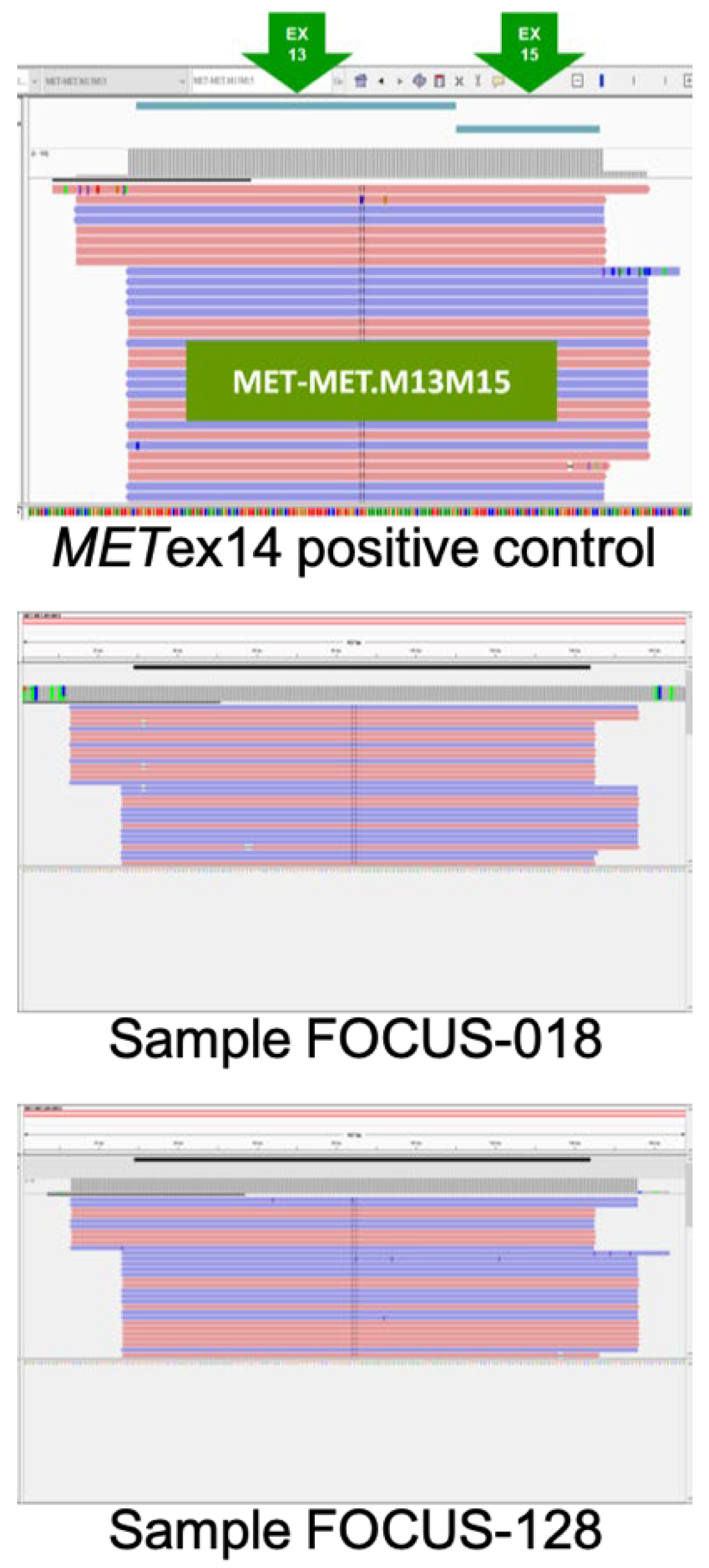 Preprints 104018 g001