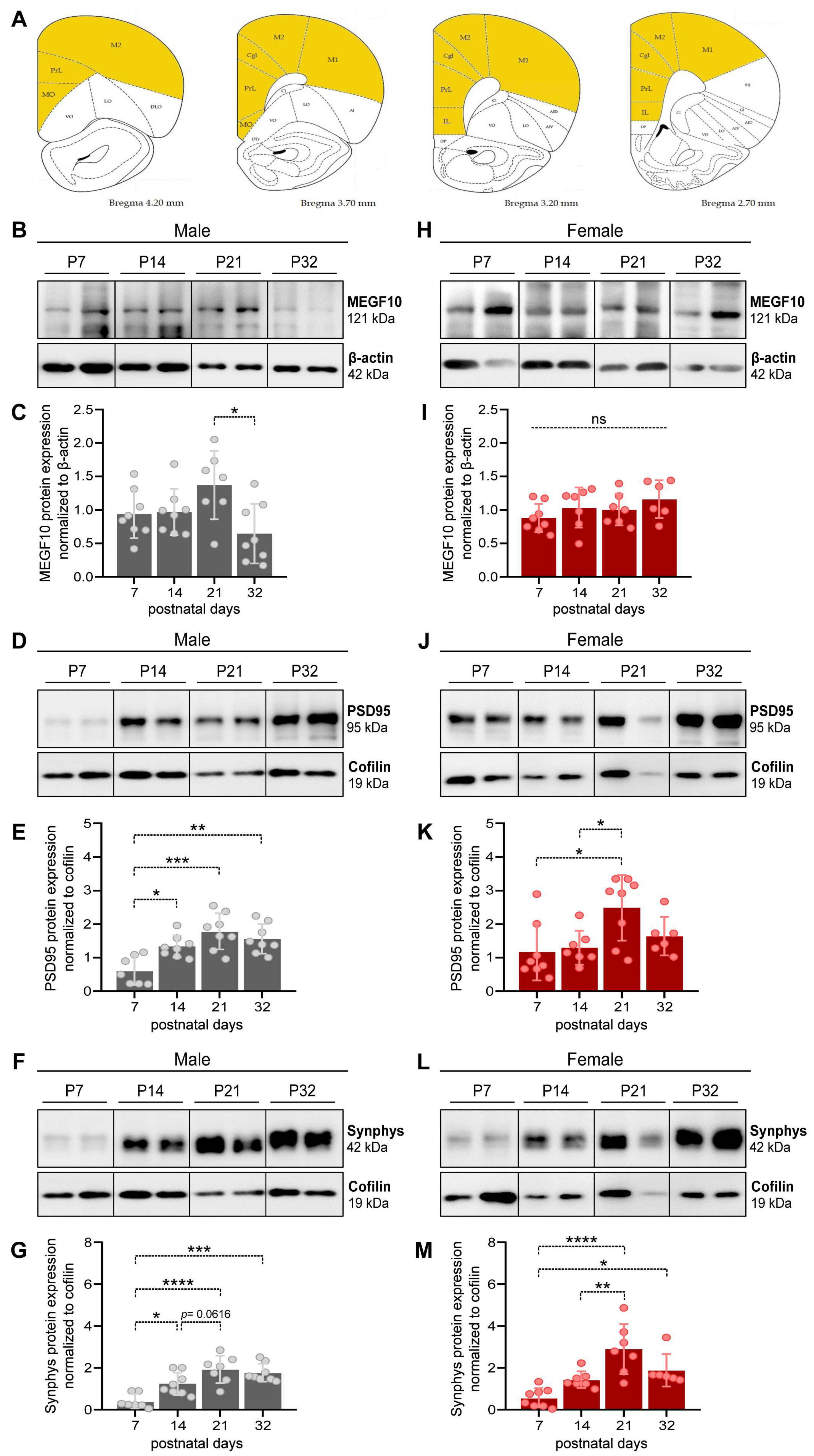 Preprints 91671 g001