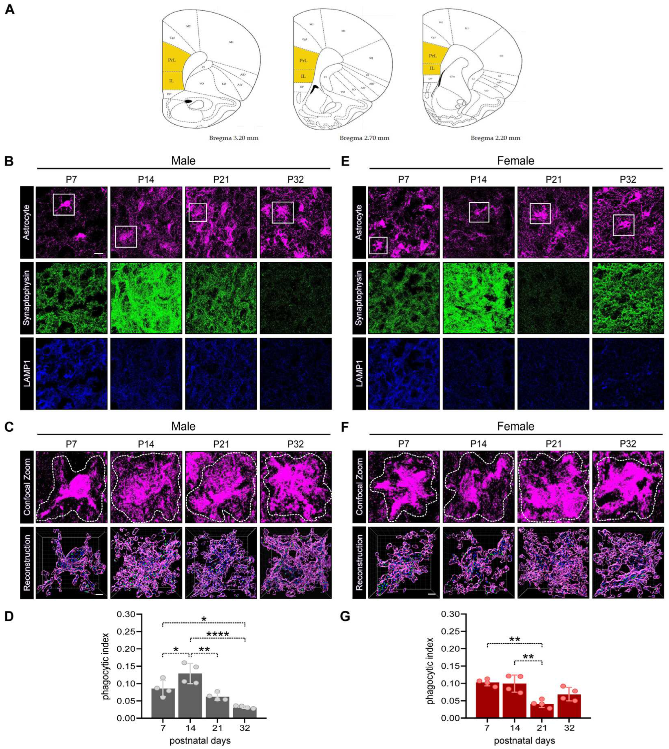 Preprints 91671 g002