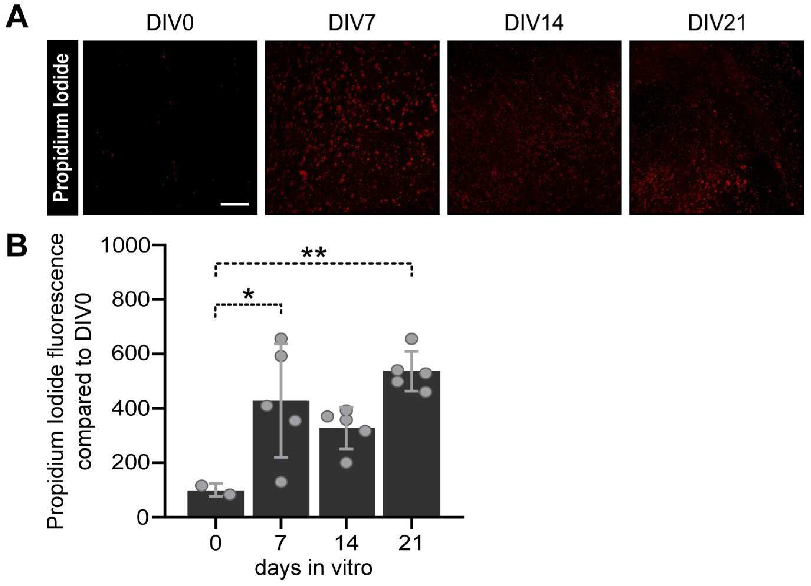 Preprints 91671 g003