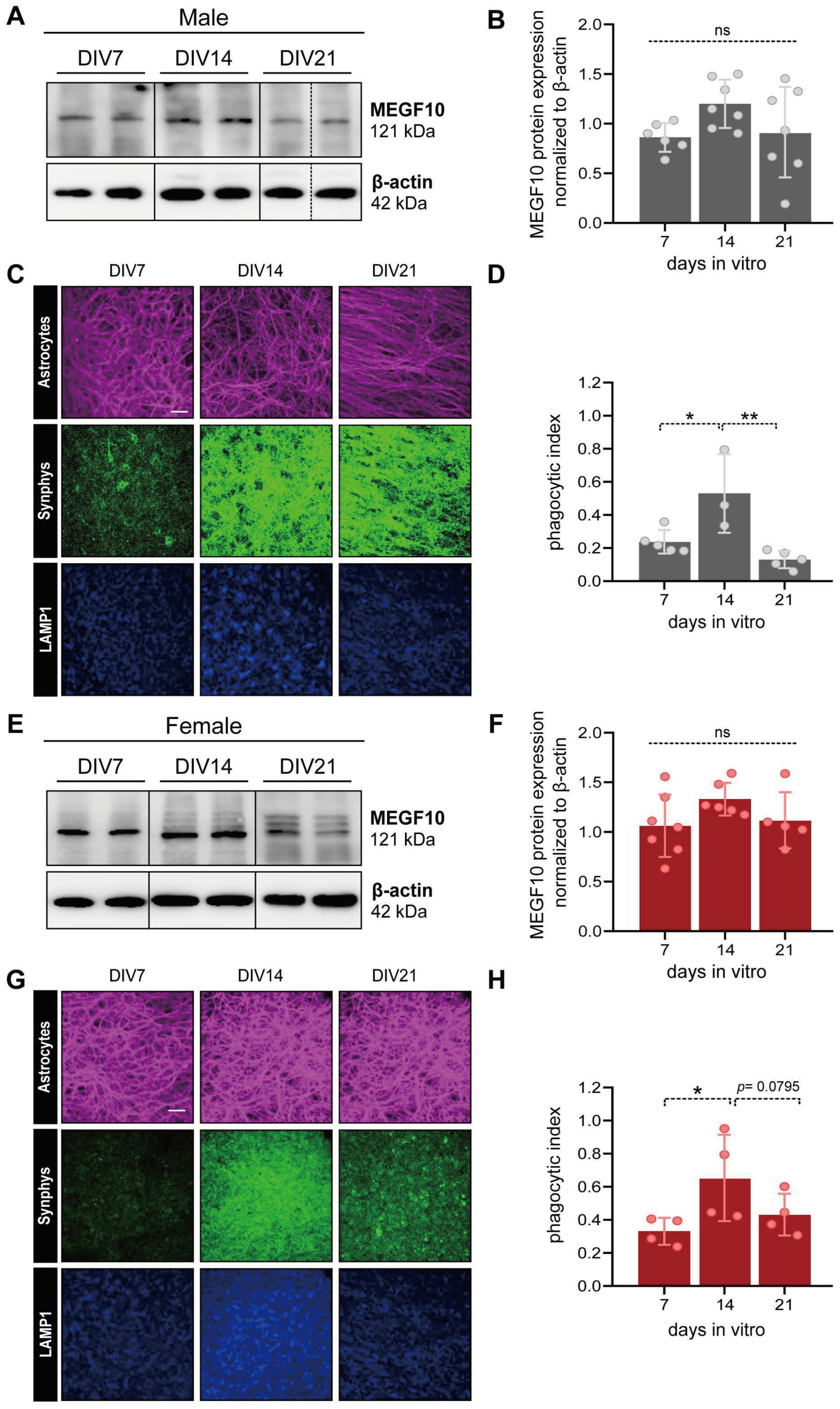 Preprints 91671 g004