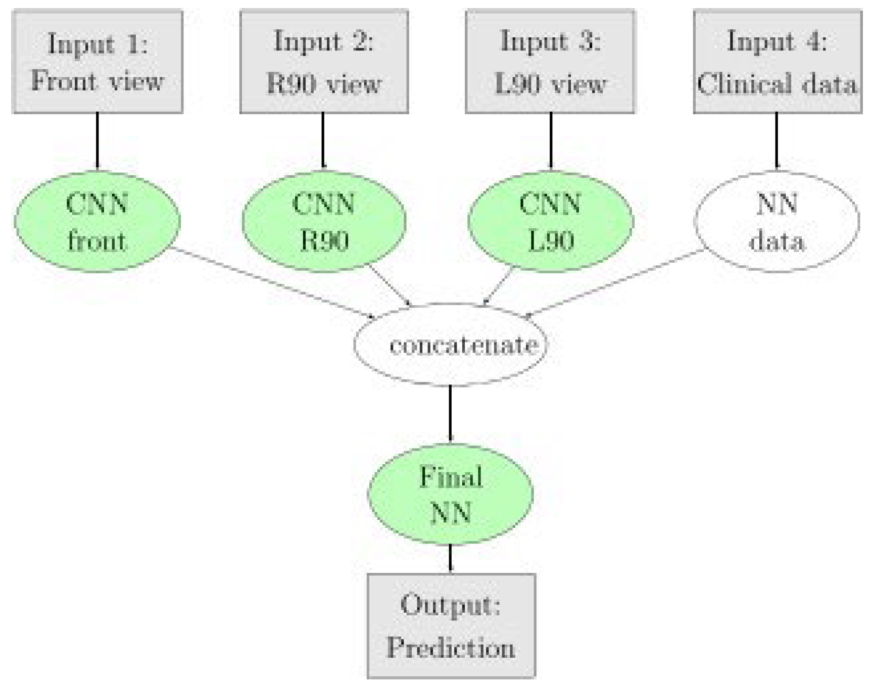 Preprints 113903 g007