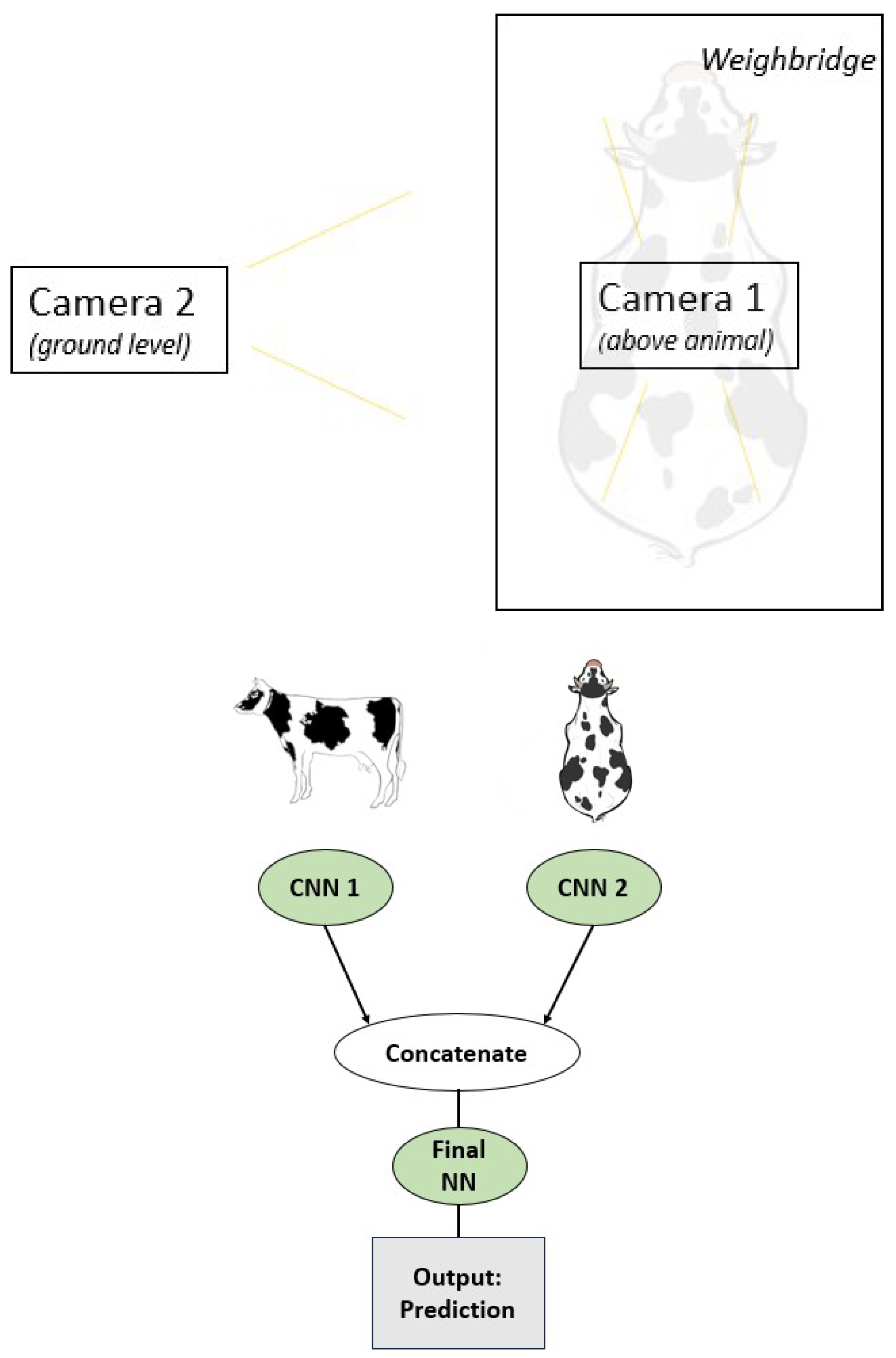 Preprints 113903 g012