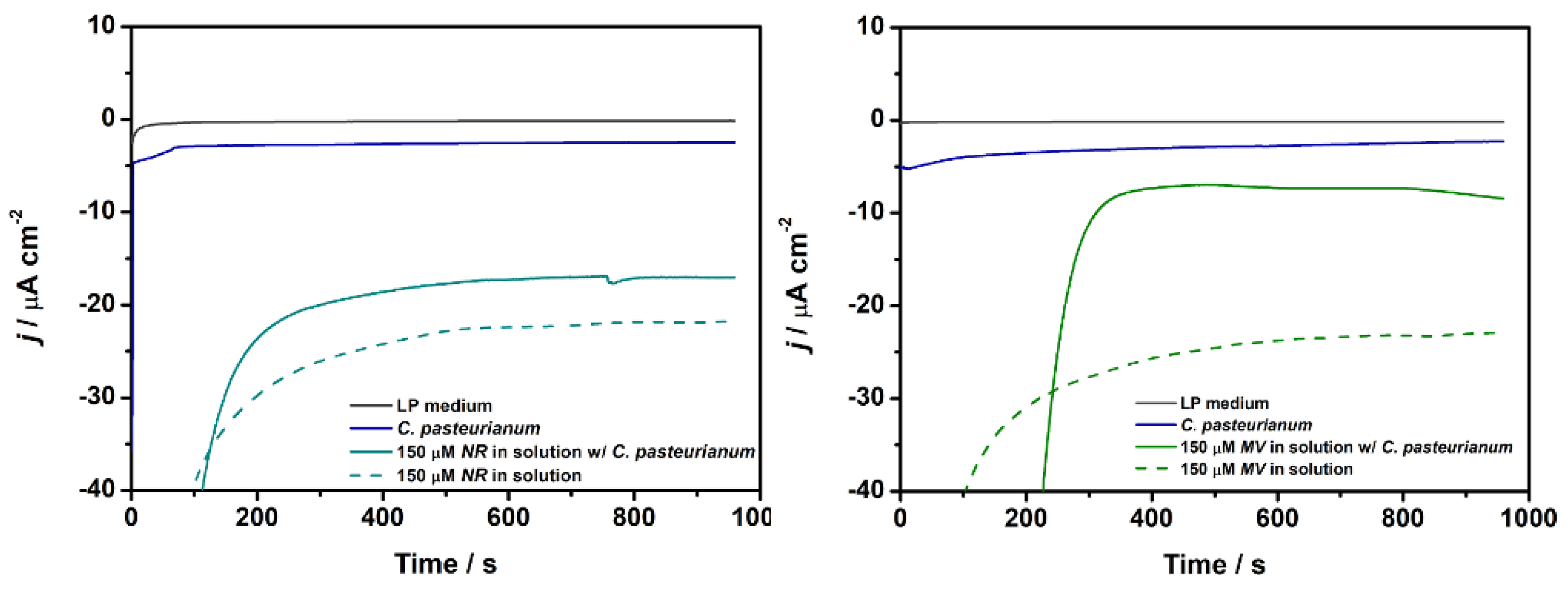 Preprints 117766 g003