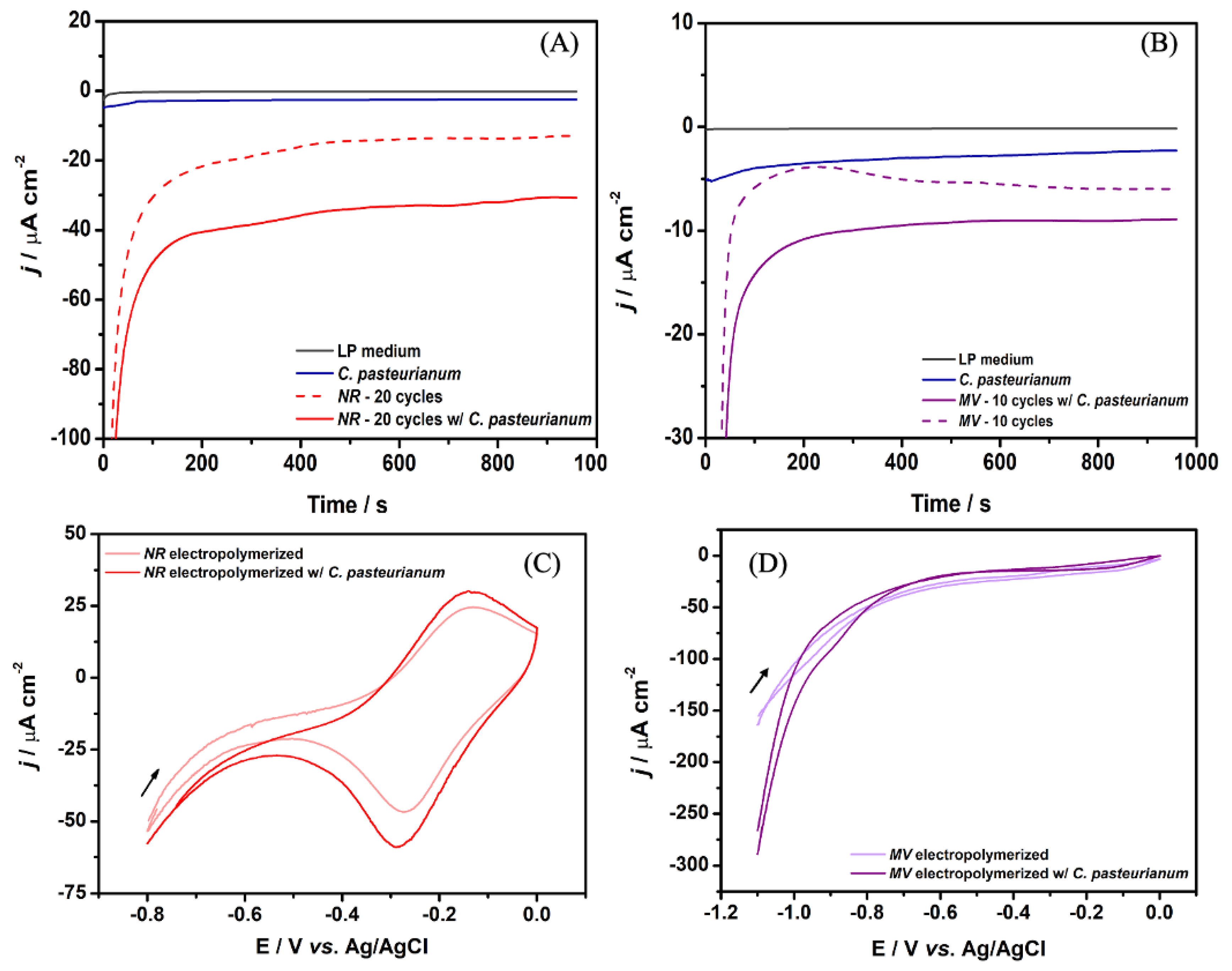 Preprints 117766 g004