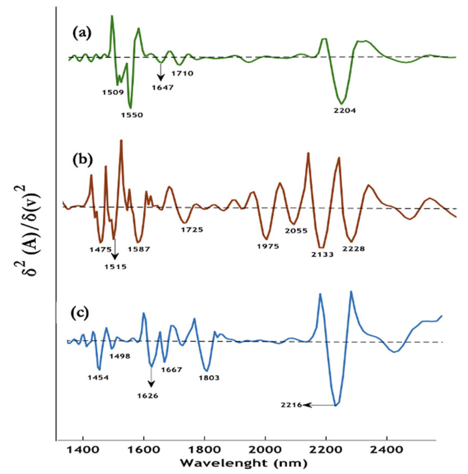 Preprints 120251 g006