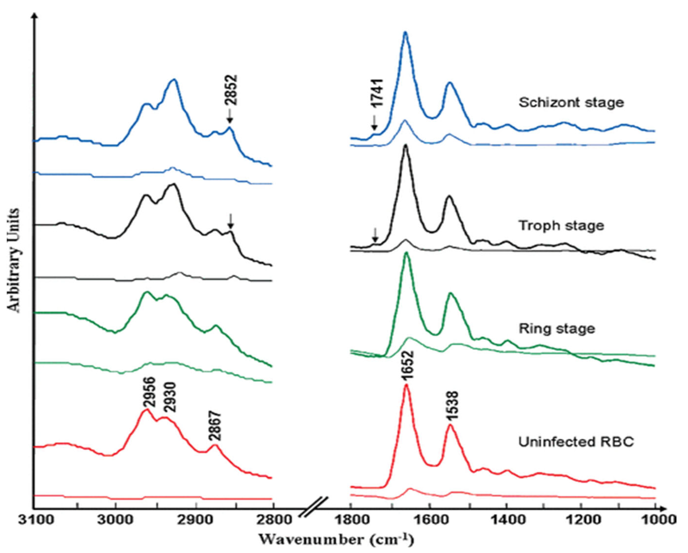 Preprints 120251 g007