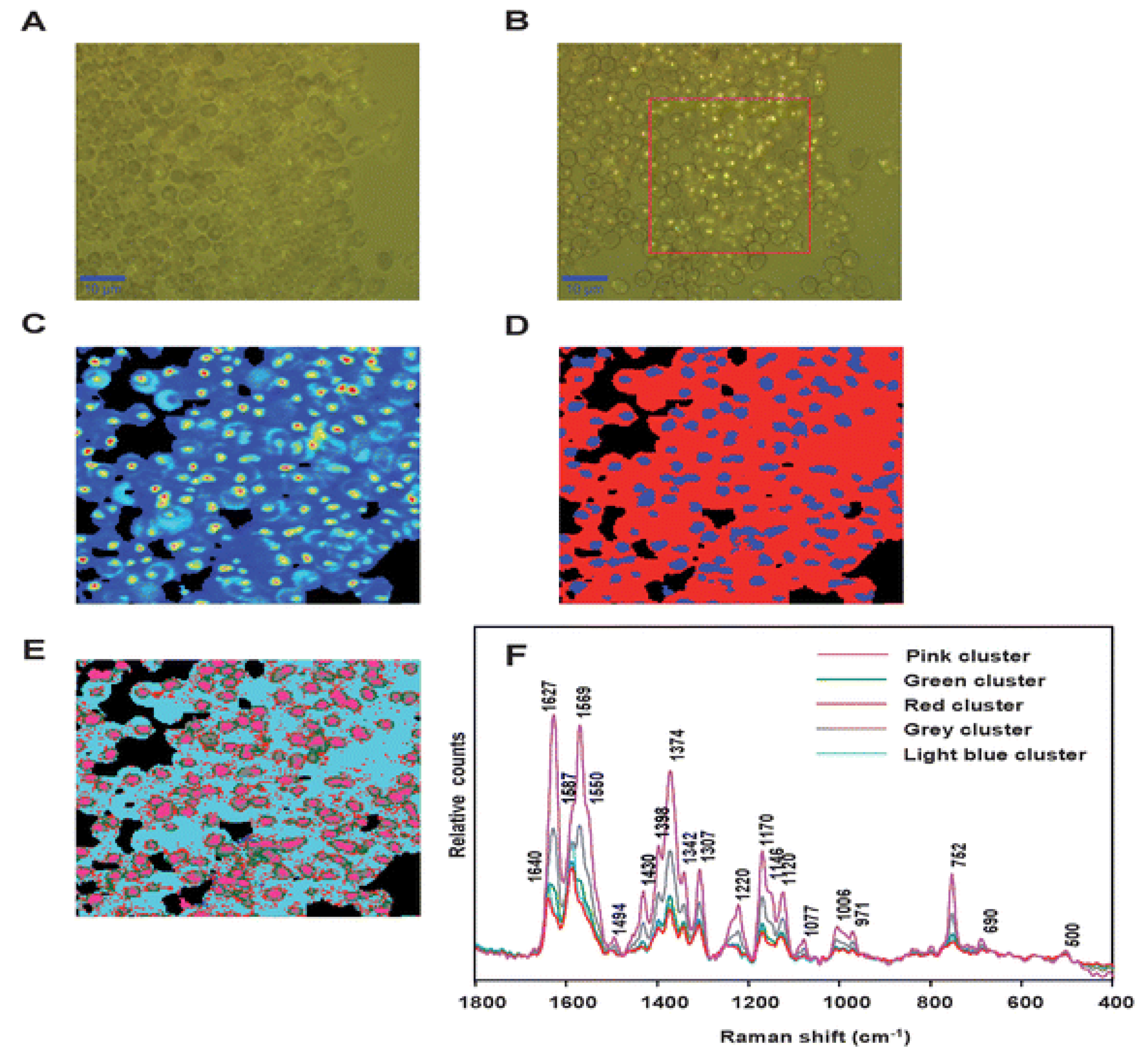 Preprints 120251 g008