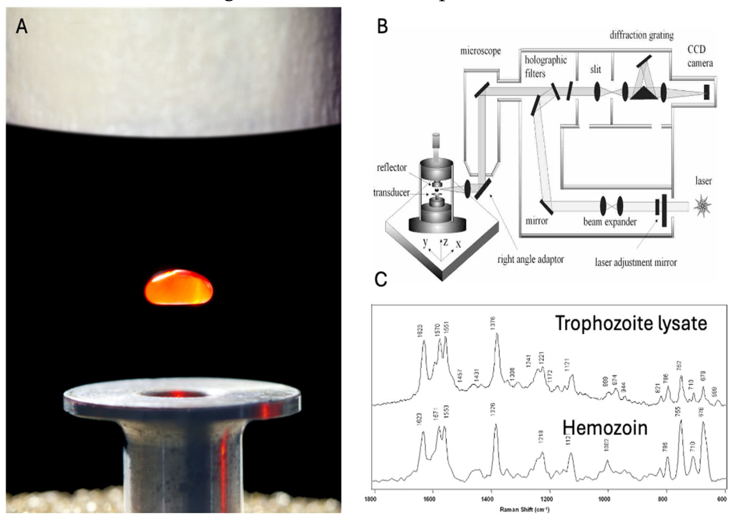 Preprints 120251 g009