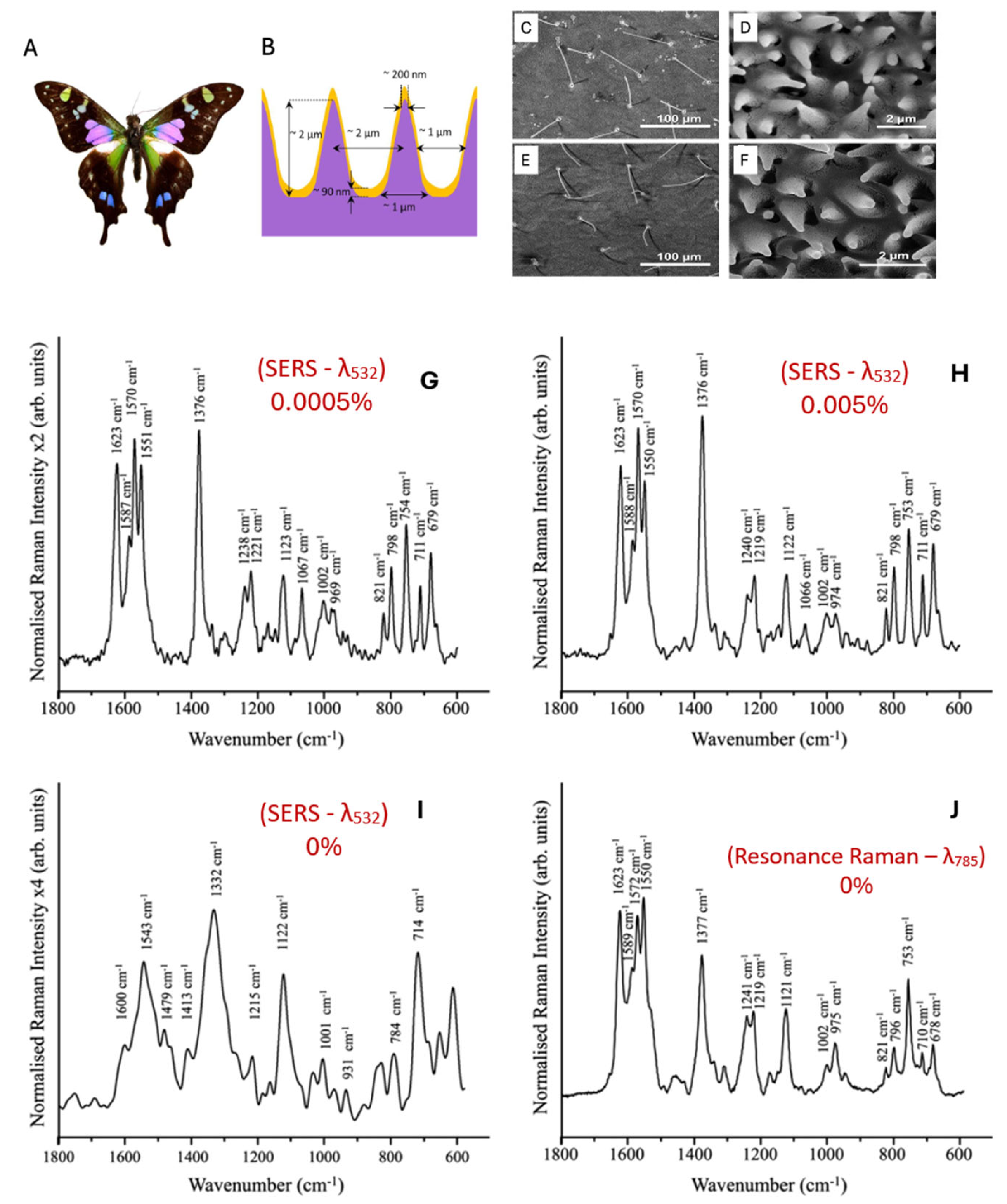 Preprints 120251 g010