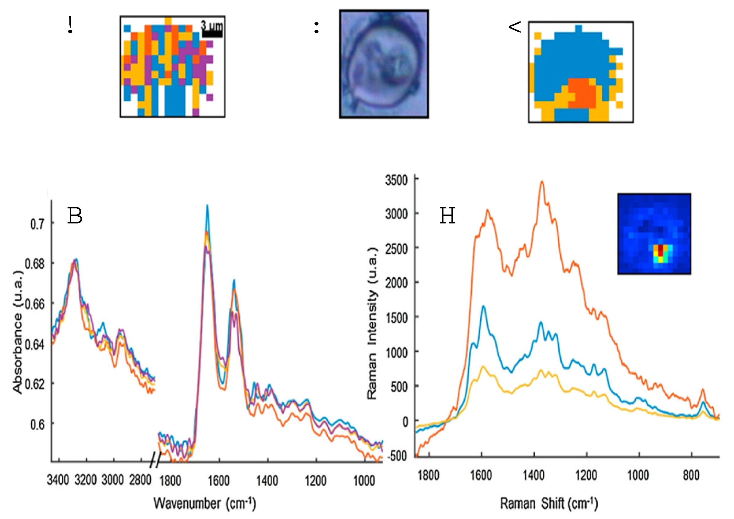 Preprints 120251 g017