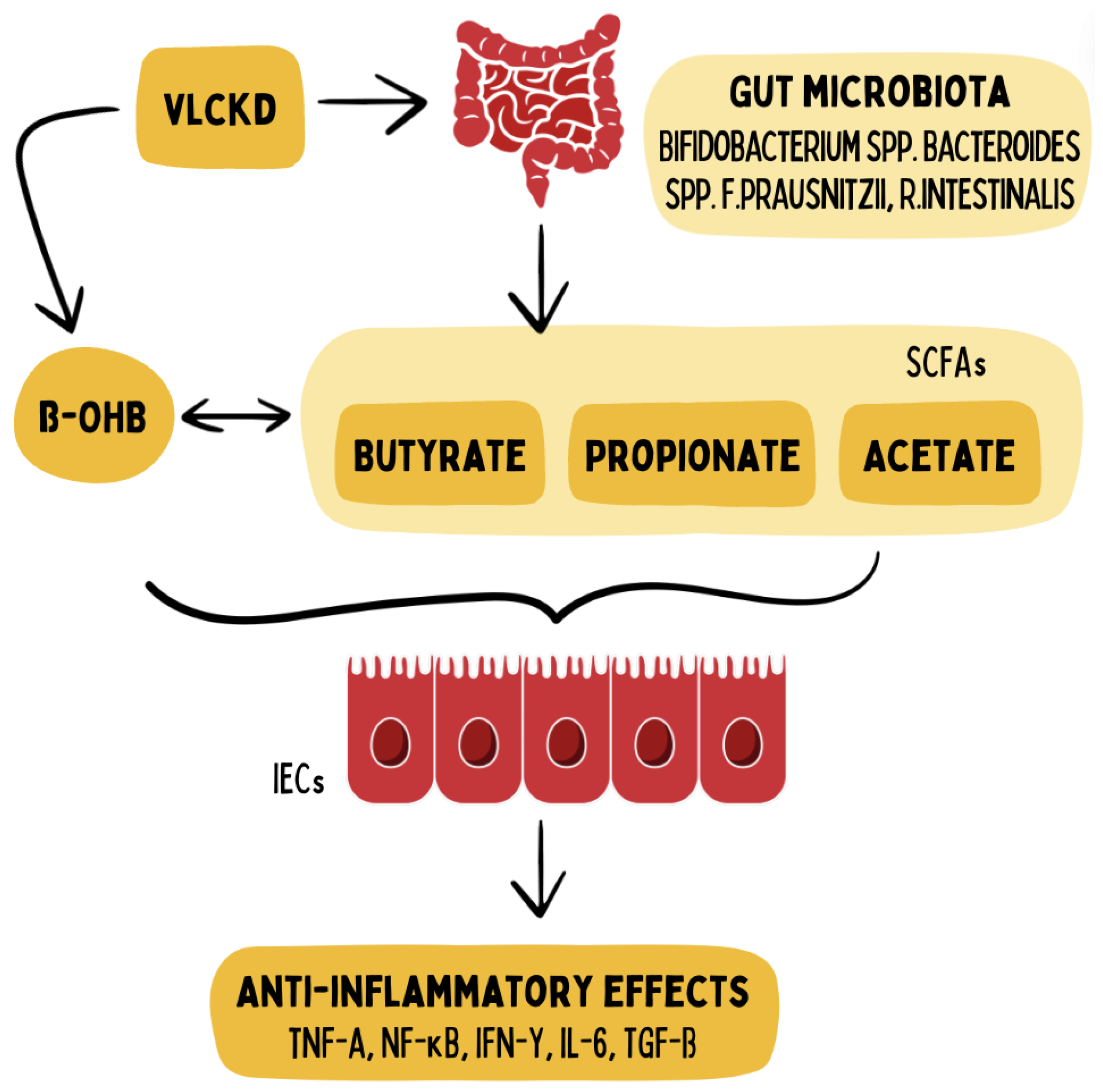 Preprints 117191 g003