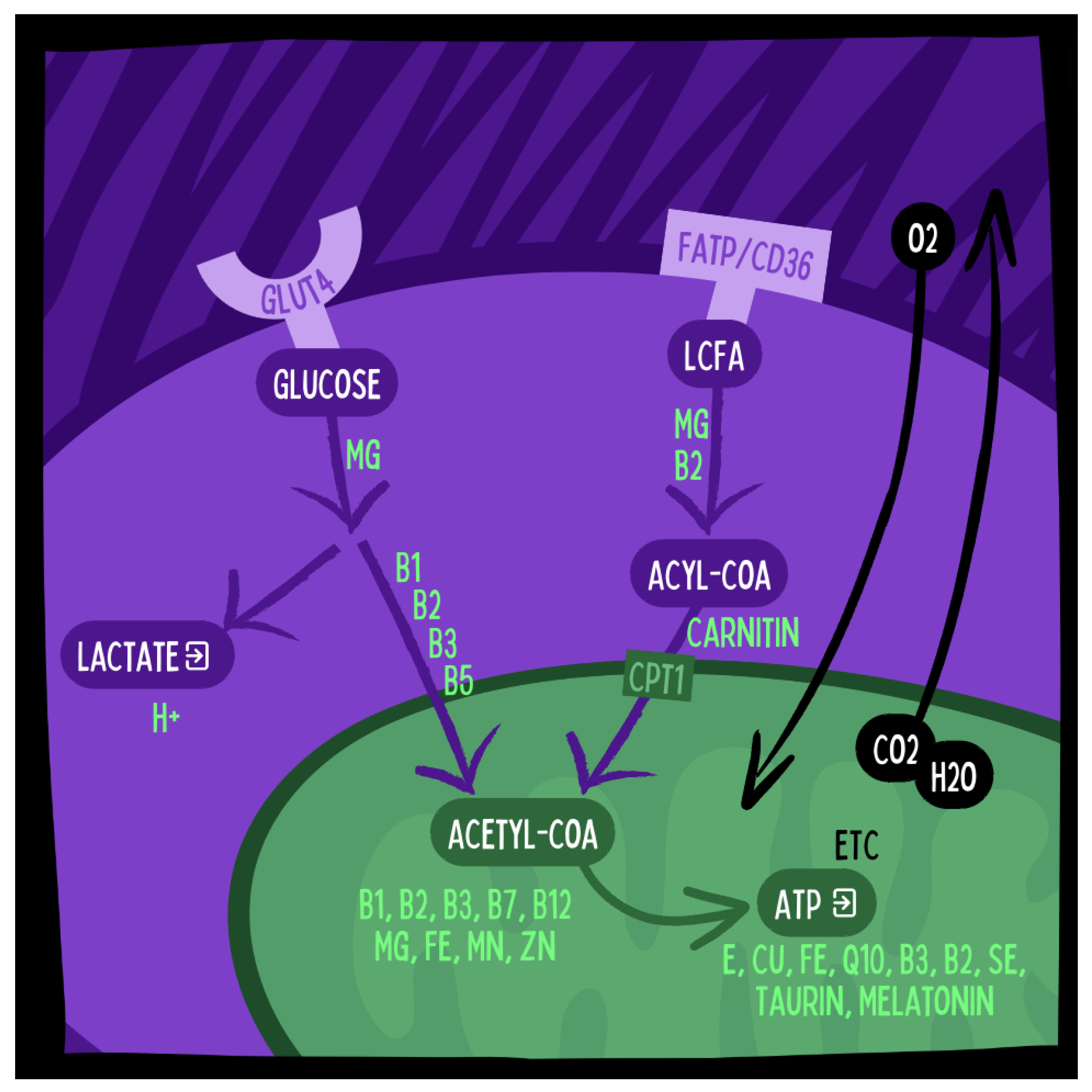 Preprints 117191 g004