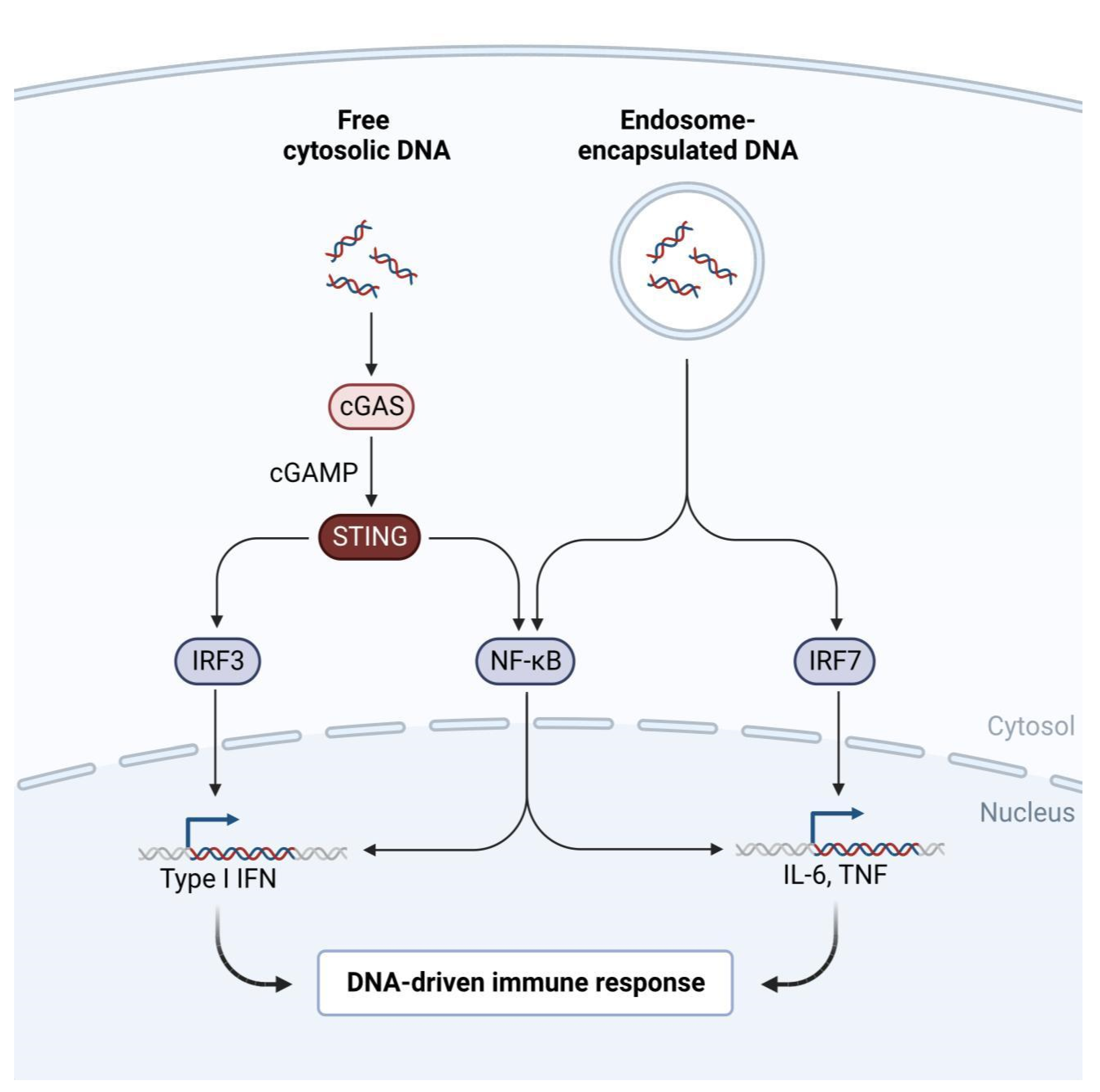 Preprints 120284 g001