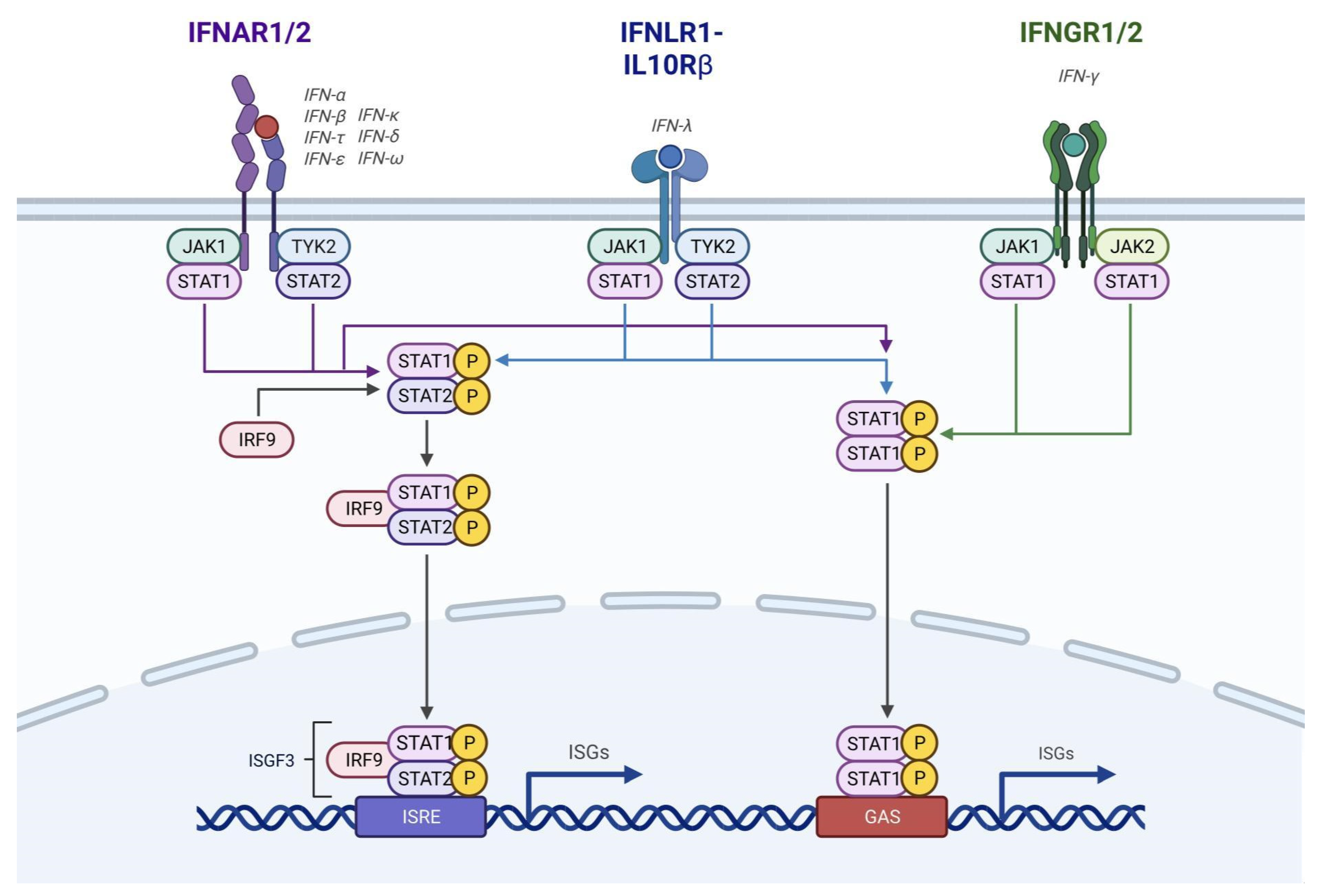 Preprints 120284 g002