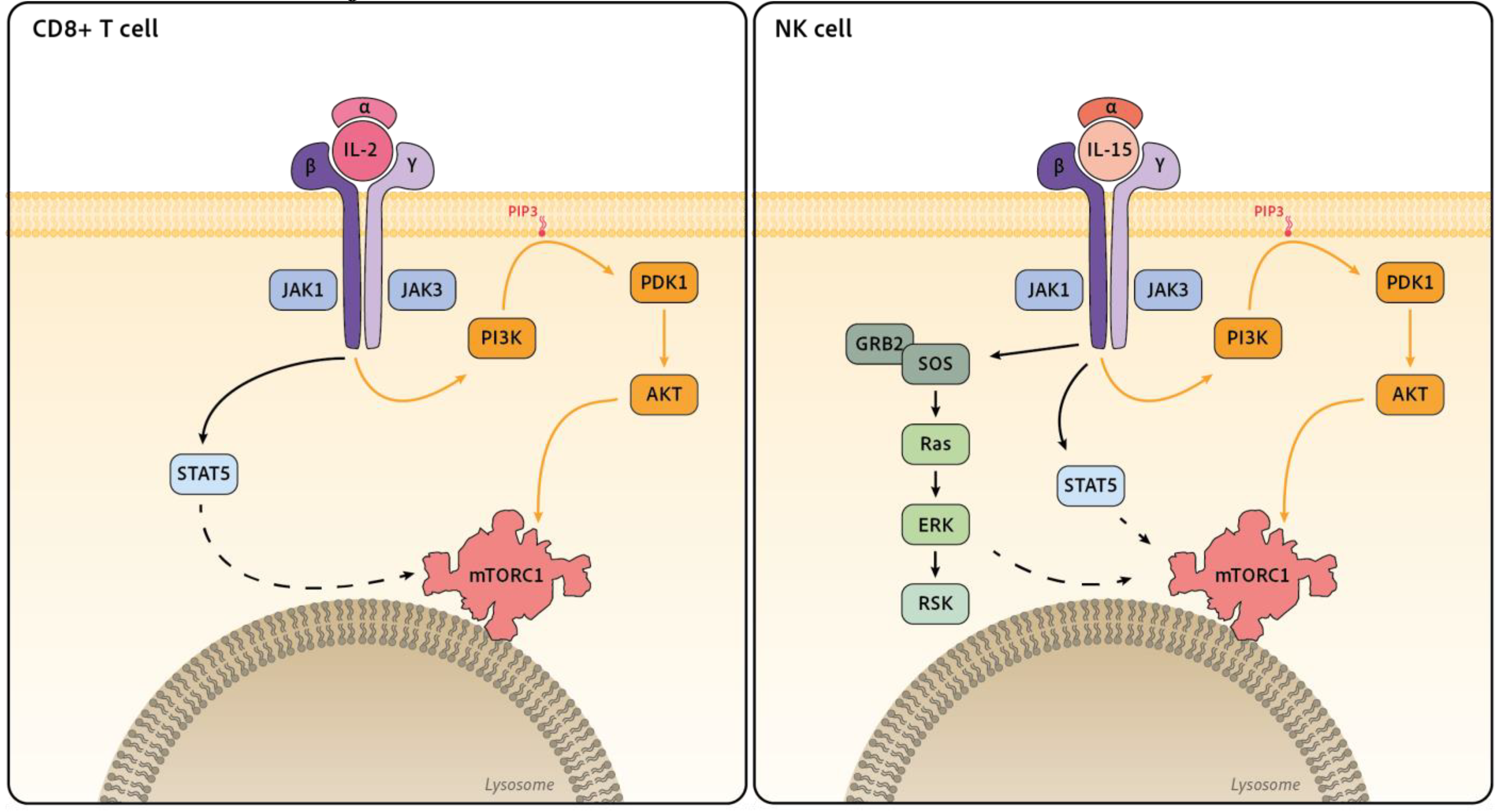 Preprints 76515 g002