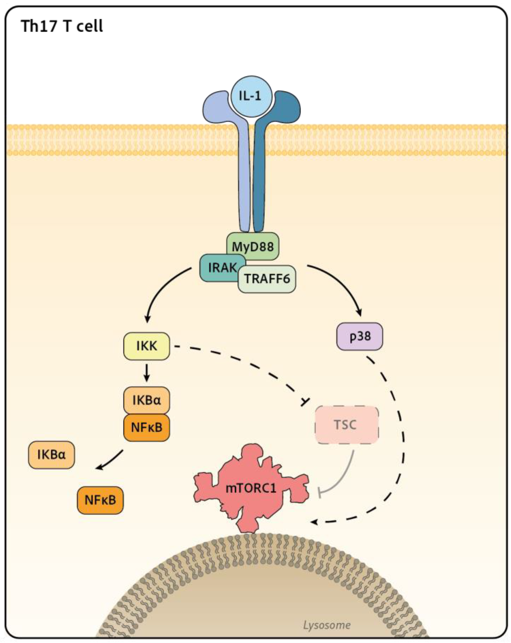 Preprints 76515 g003