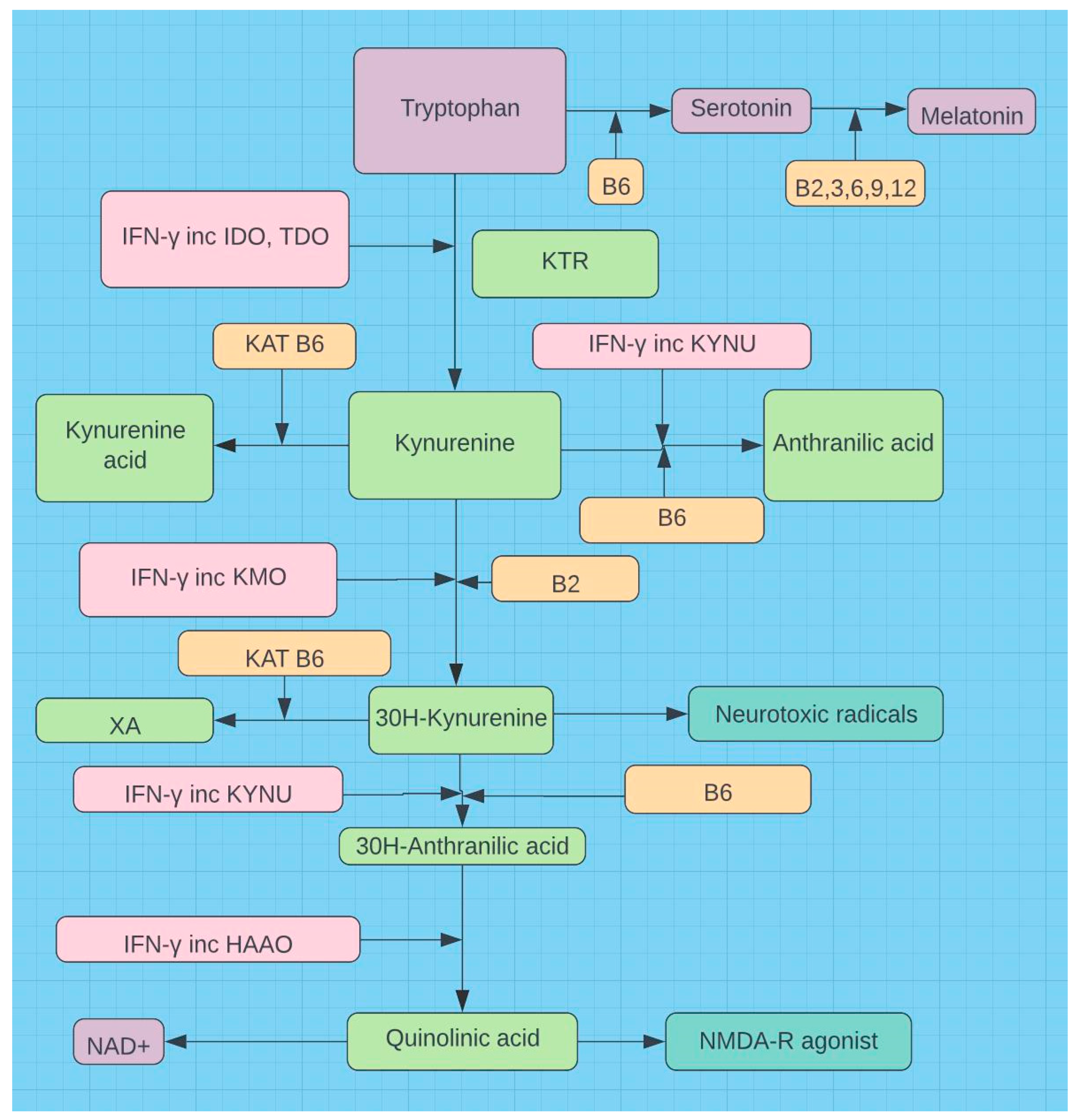 Preprints 94316 g001