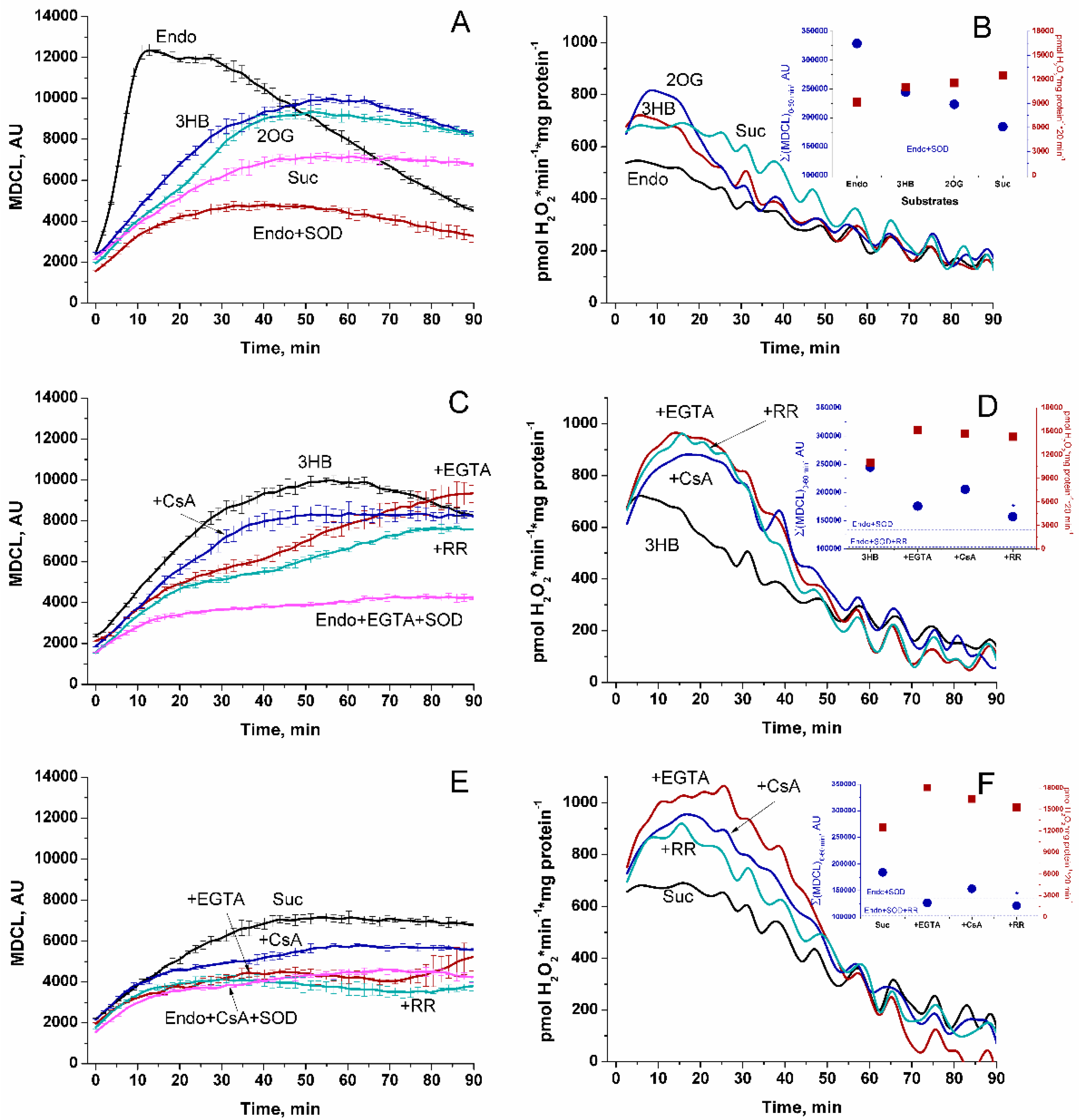 Preprints 119817 g001