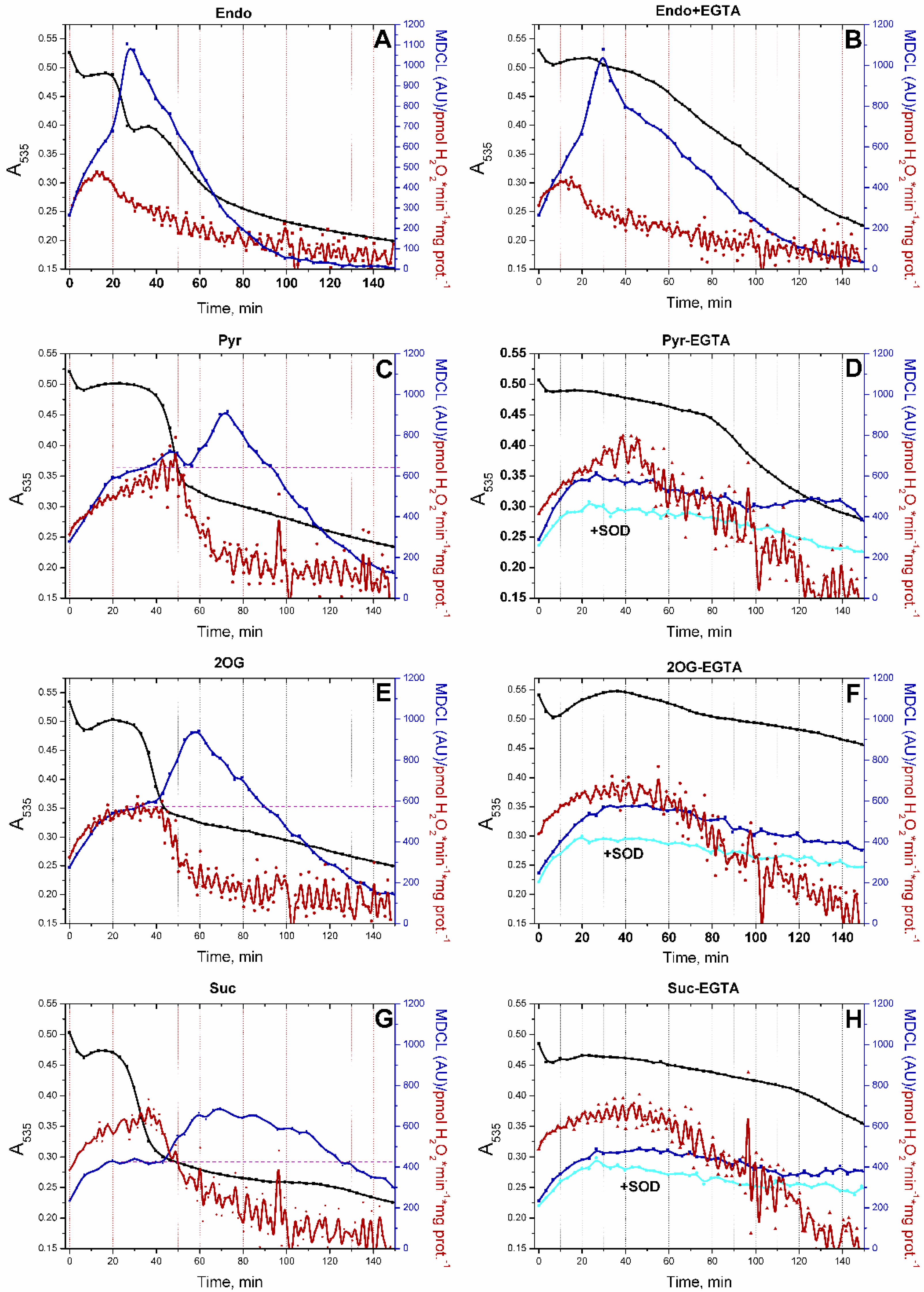 Preprints 119817 g003