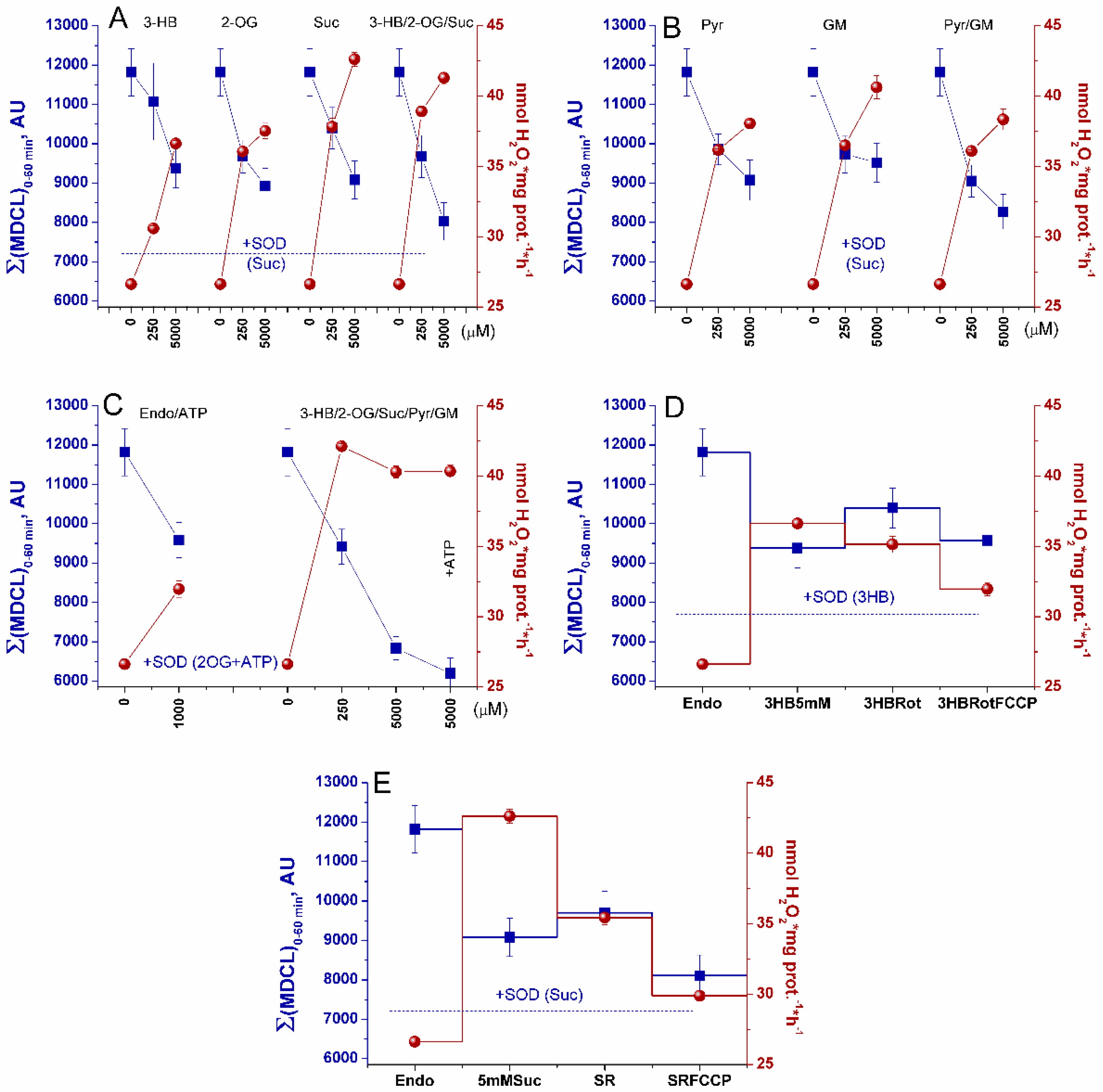 Preprints 119817 g006