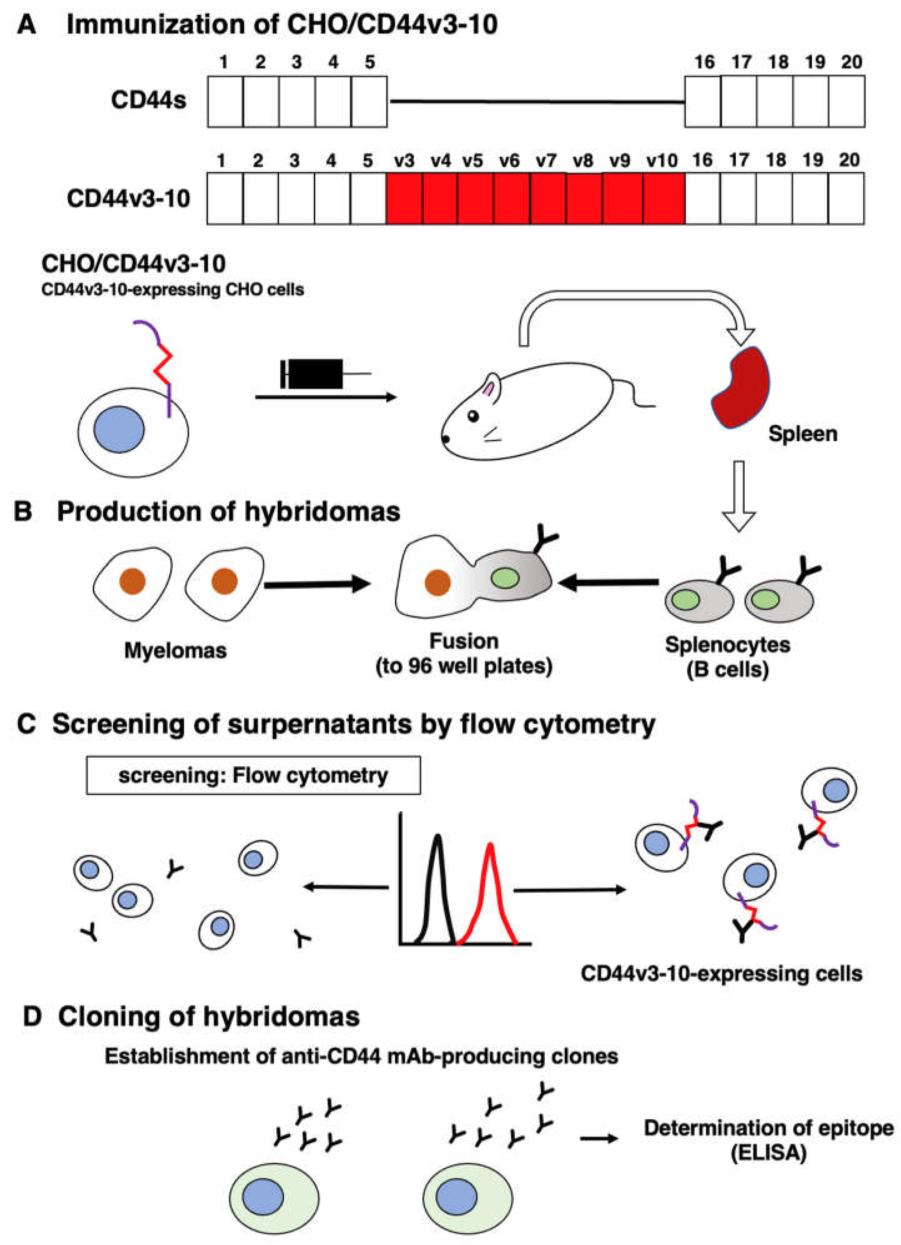 Preprints 68024 g001