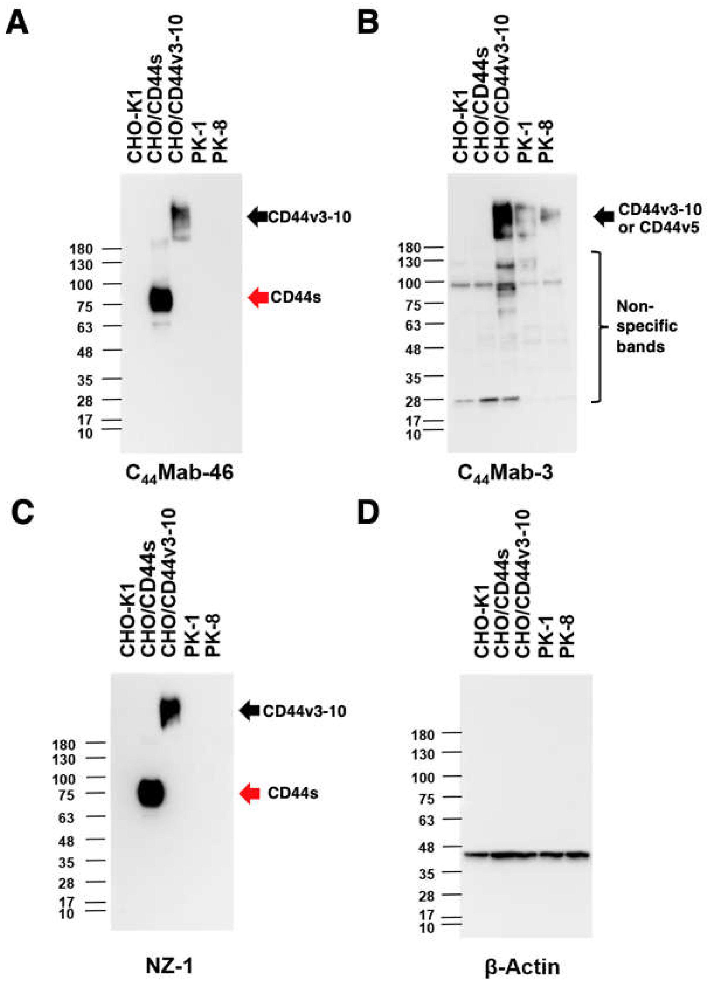 Preprints 68024 g004