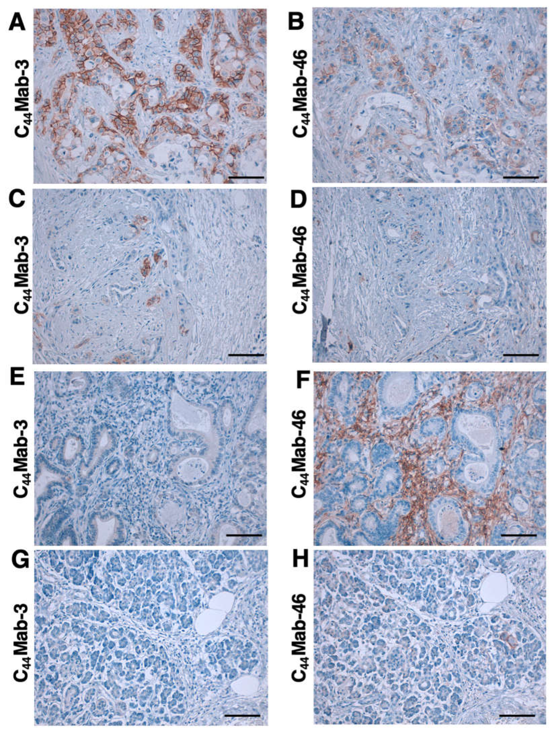 Preprints 68024 g005