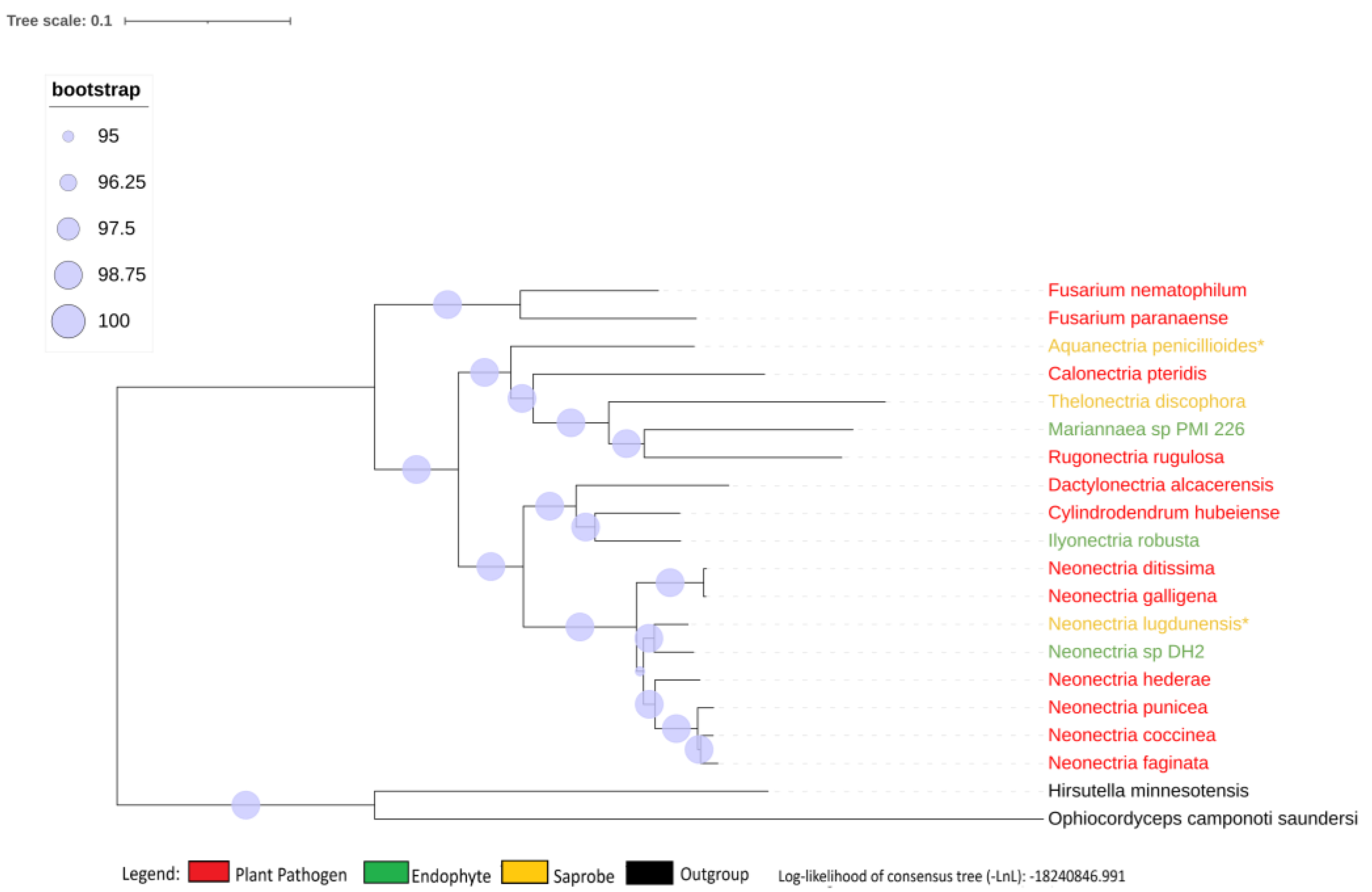 Preprints 113894 g001