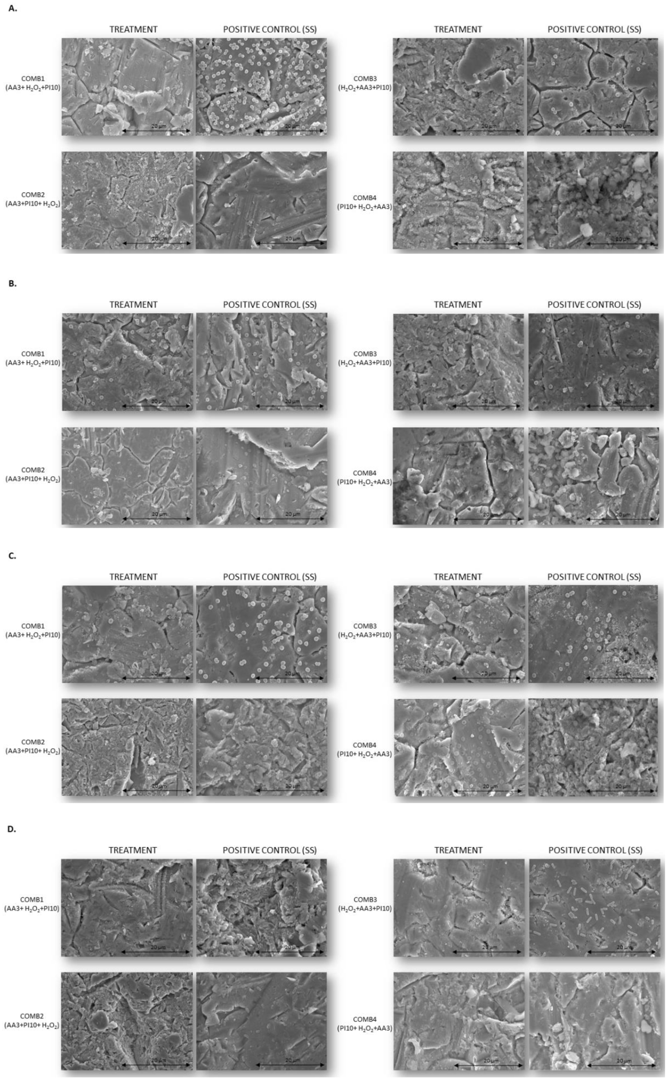 Preprints 85133 g004