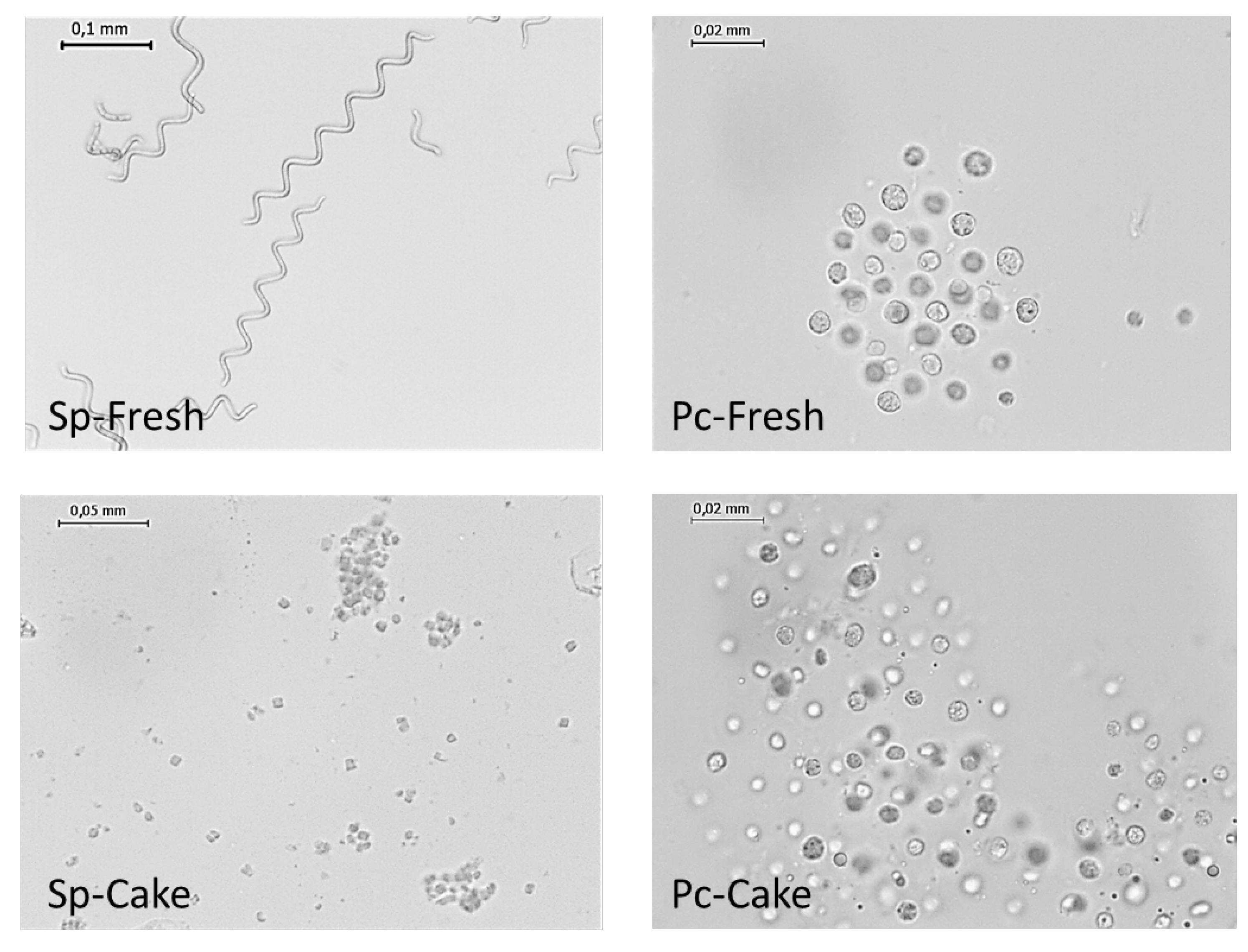 Preprints 107538 g002