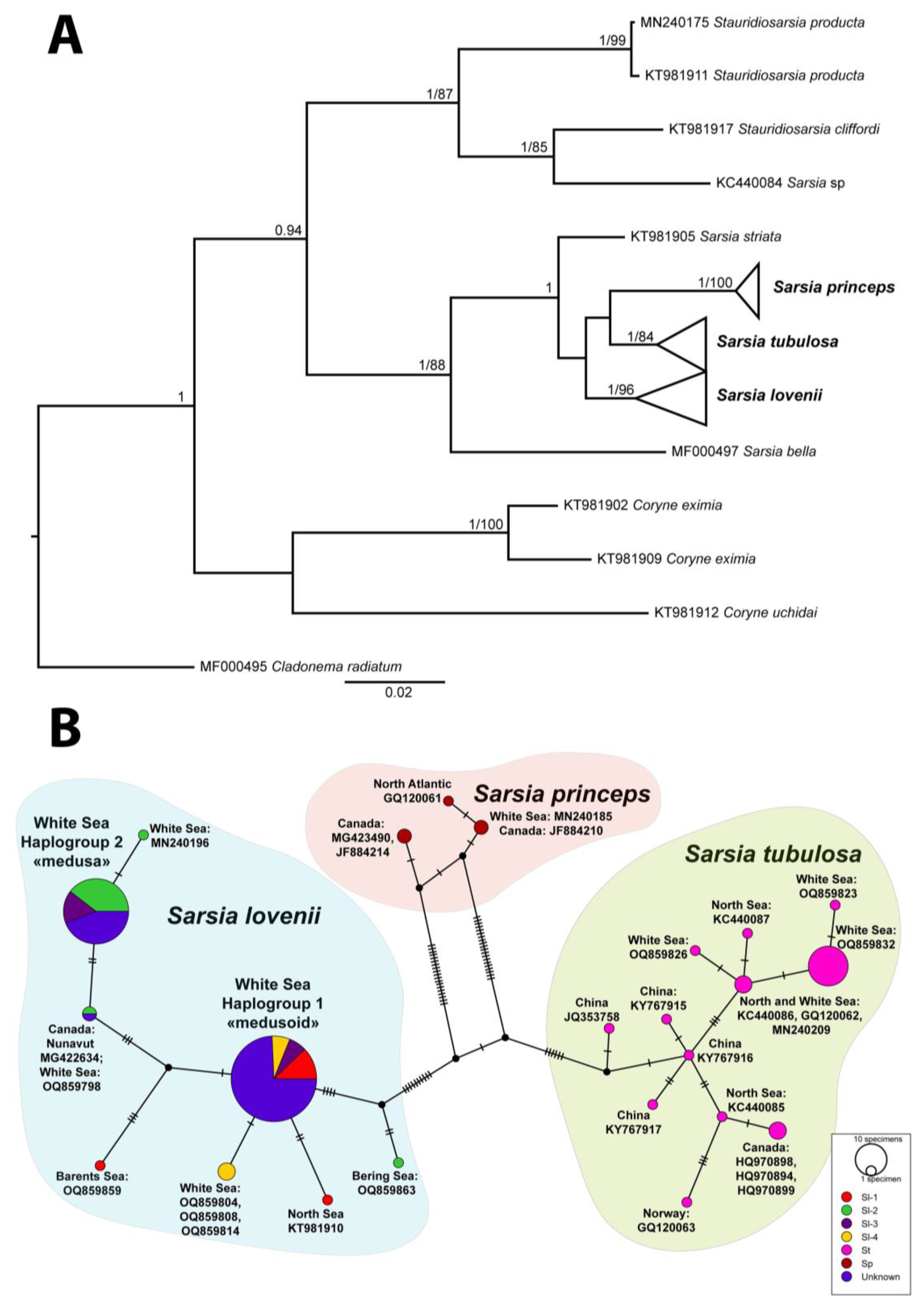 Preprints 71762 g003