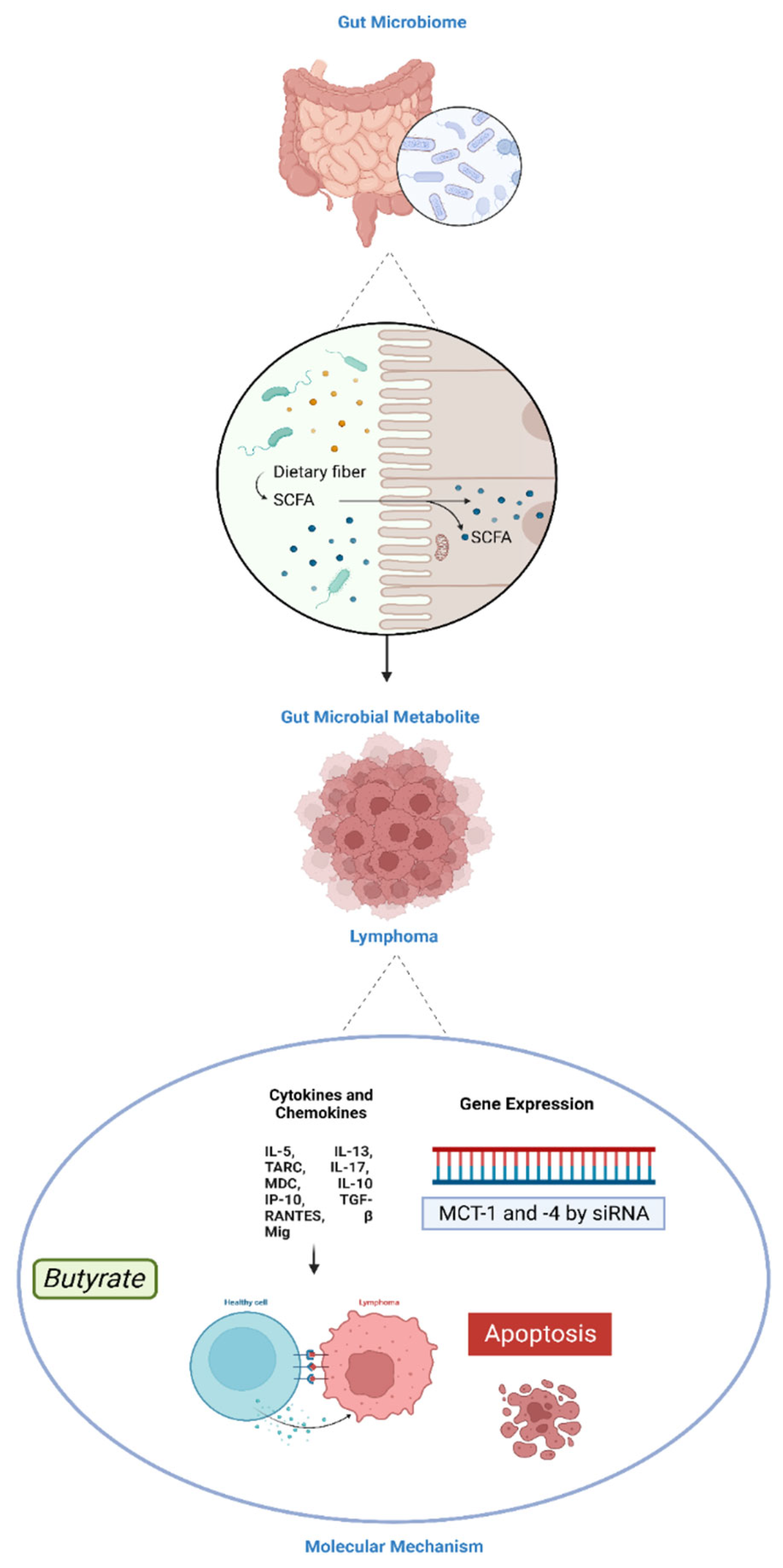 Preprints 101423 g002