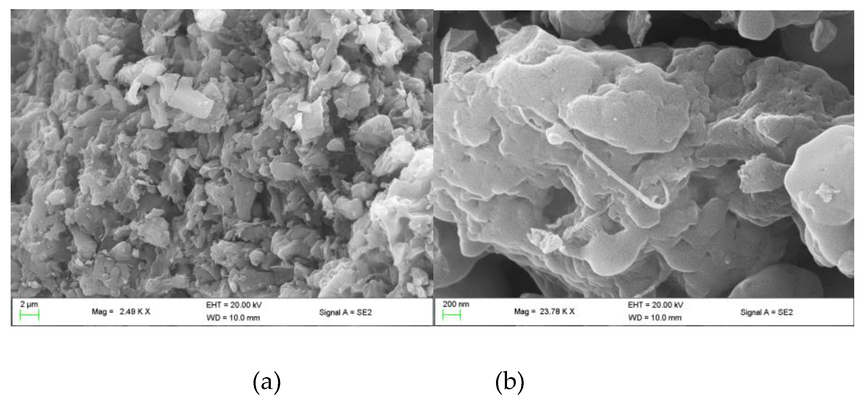 Preprints 69019 g002