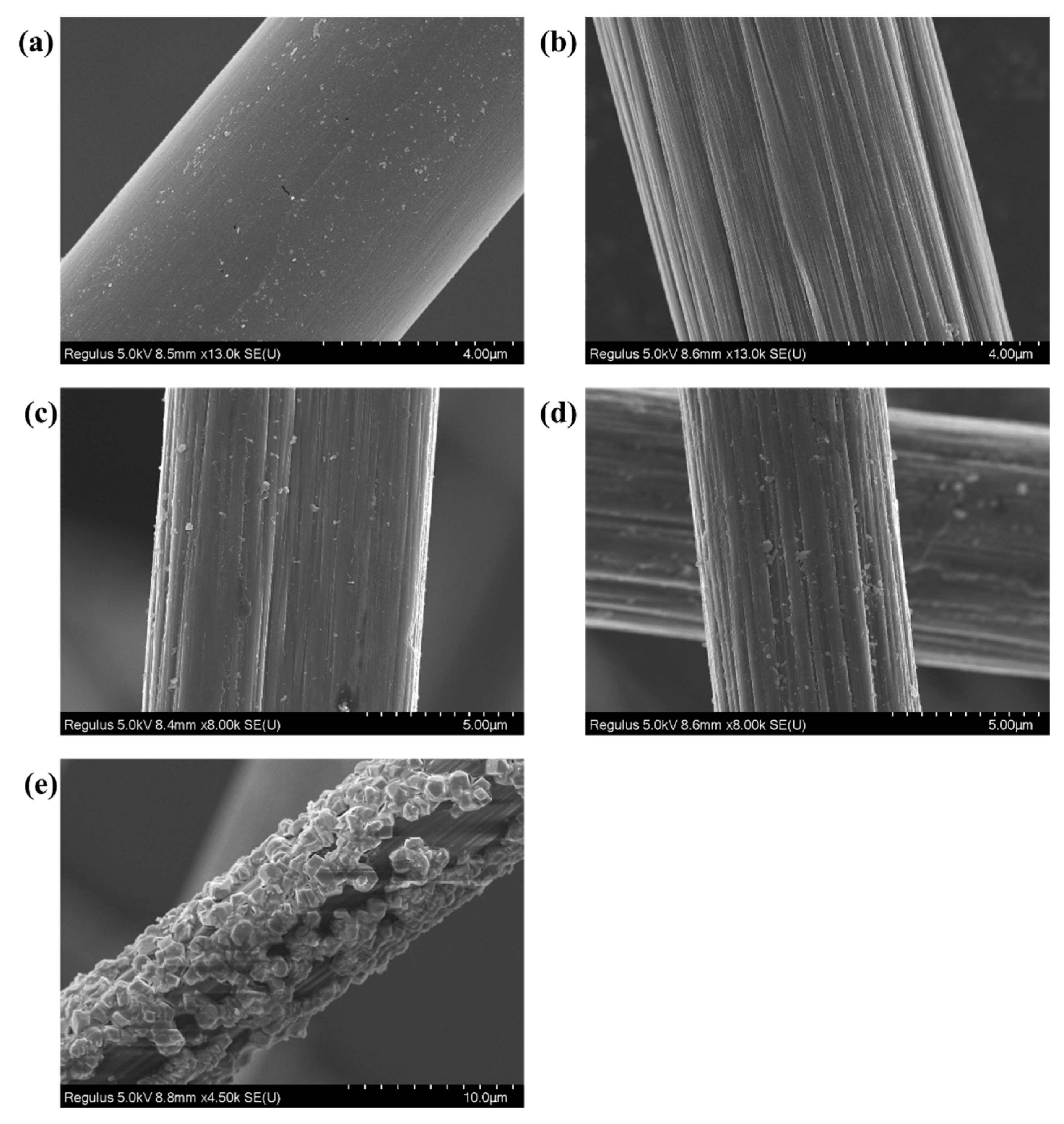 Preprints 80616 g003