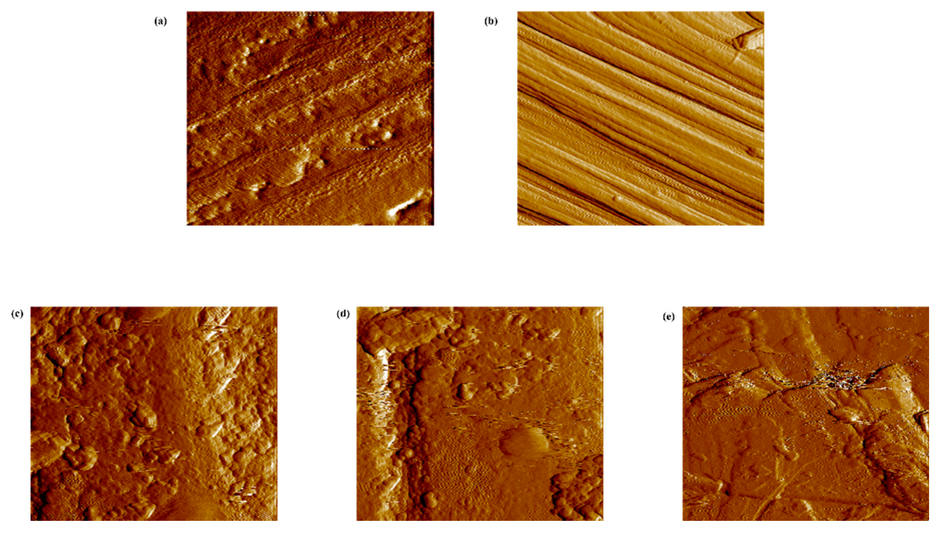 Preprints 80616 g004