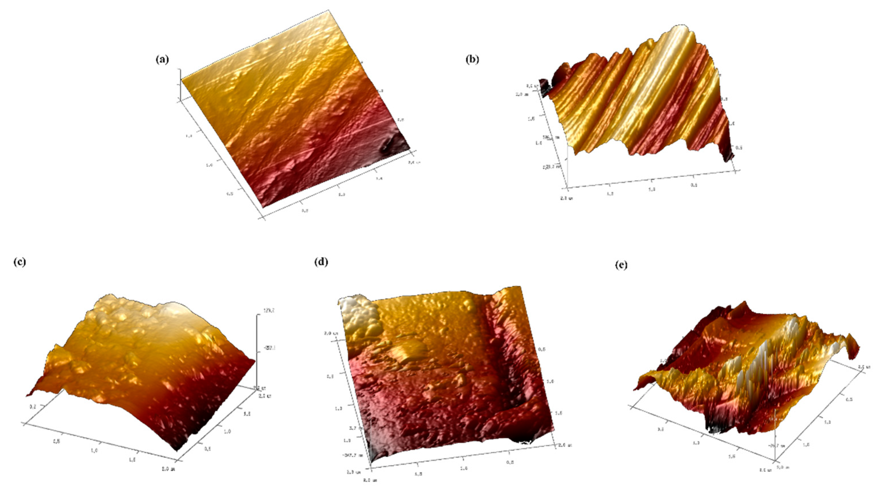 Preprints 80616 g005