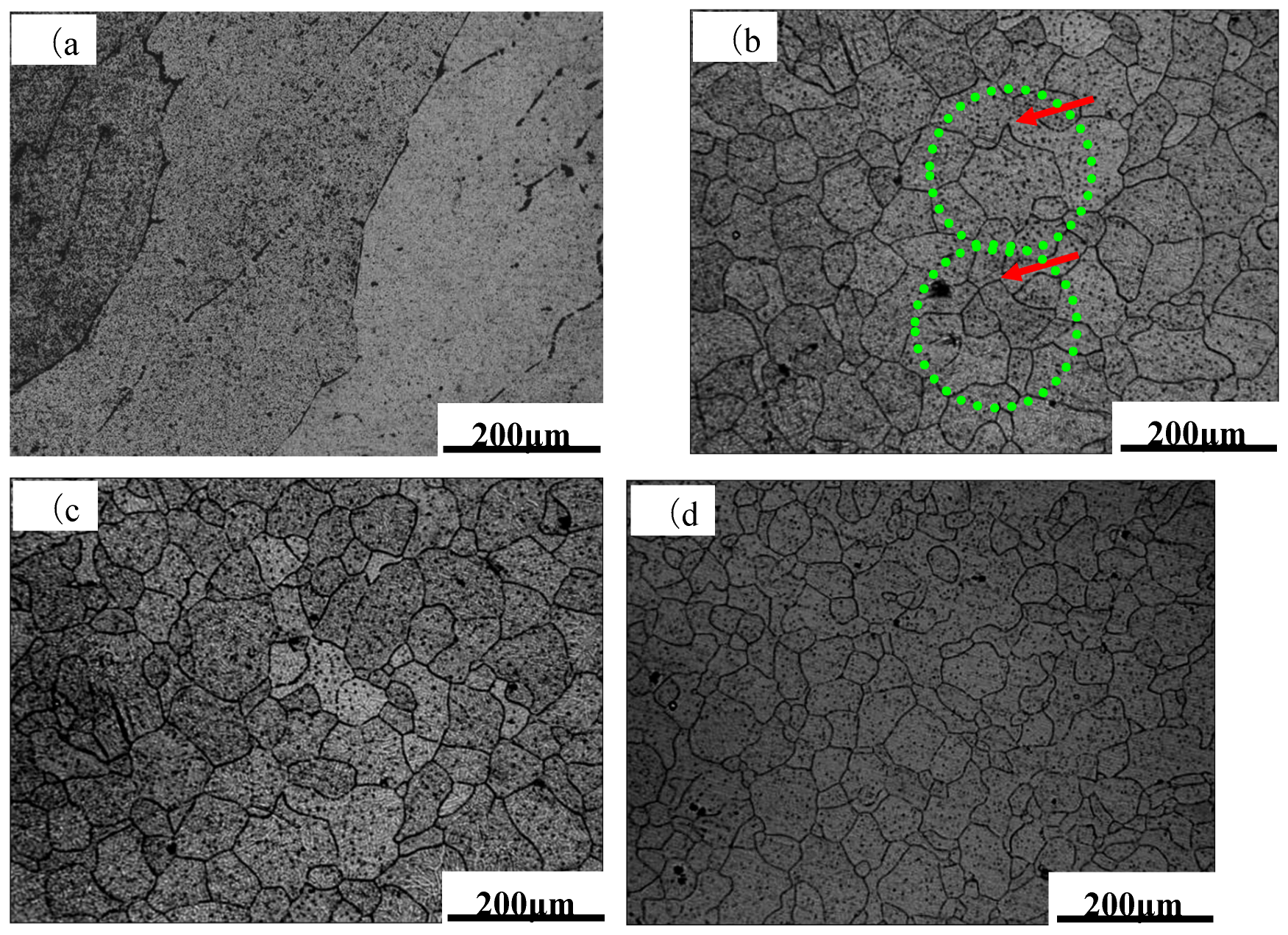 Preprints 118364 g006