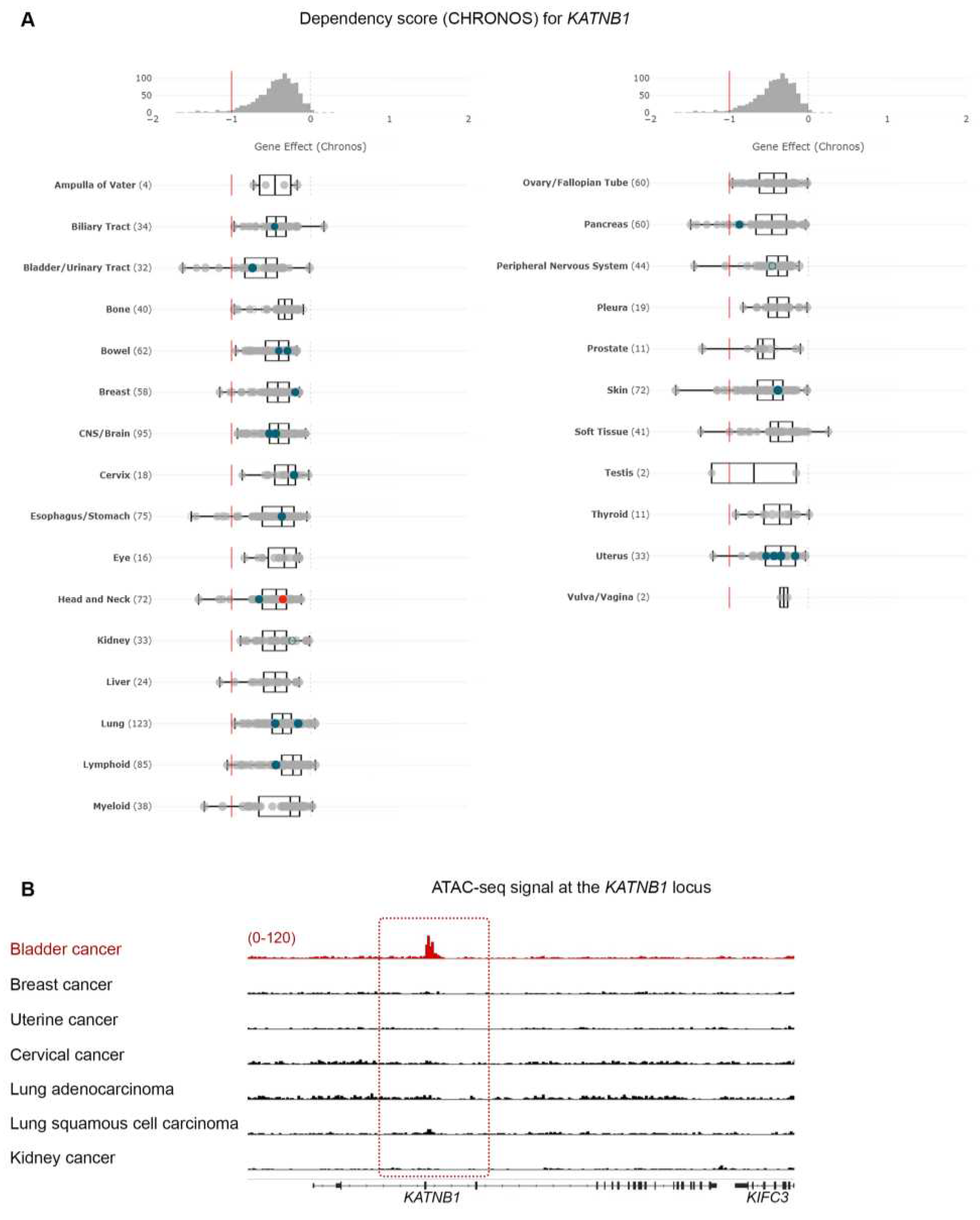 Preprints 77183 g002