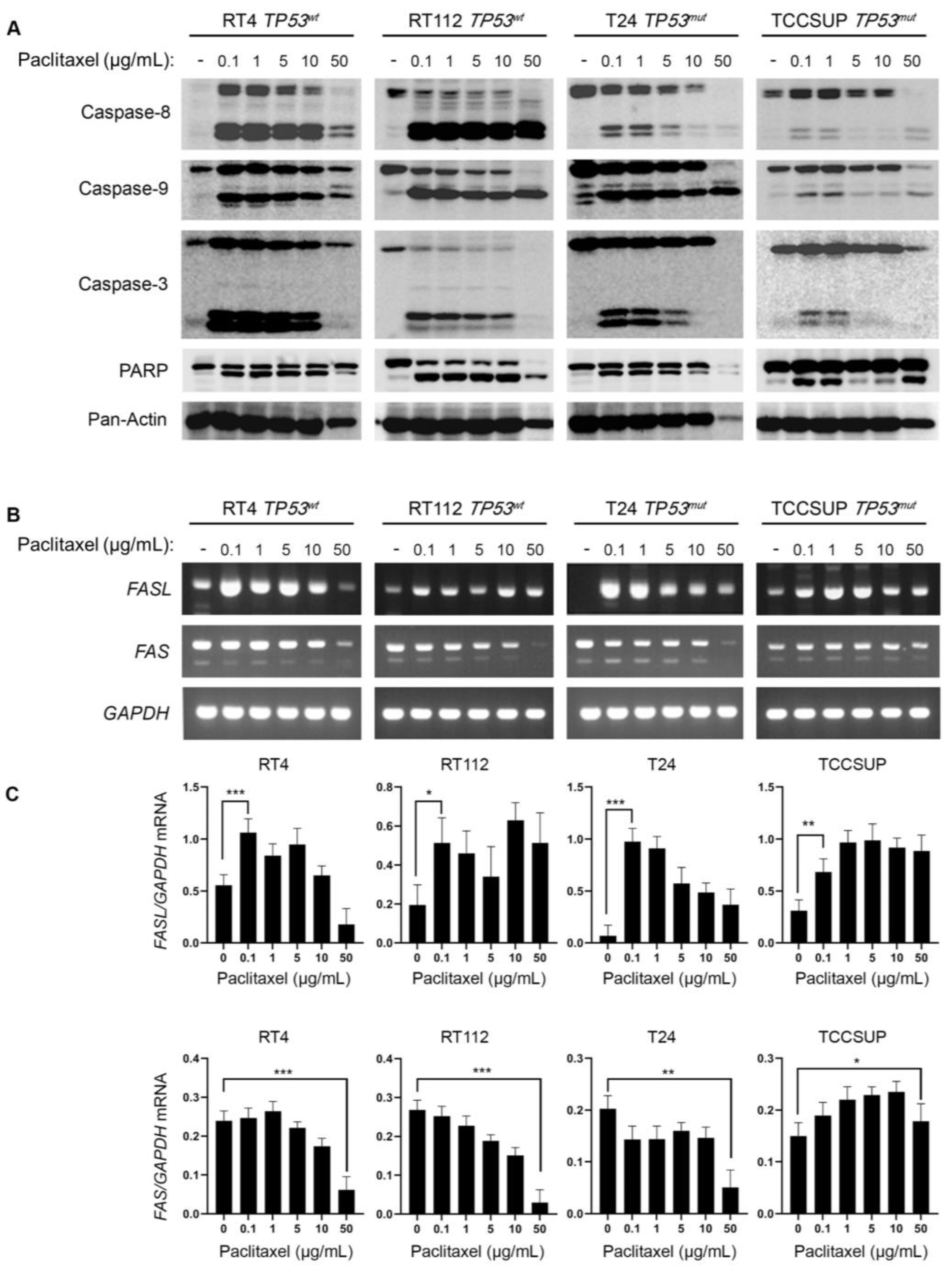 Preprints 77183 g004