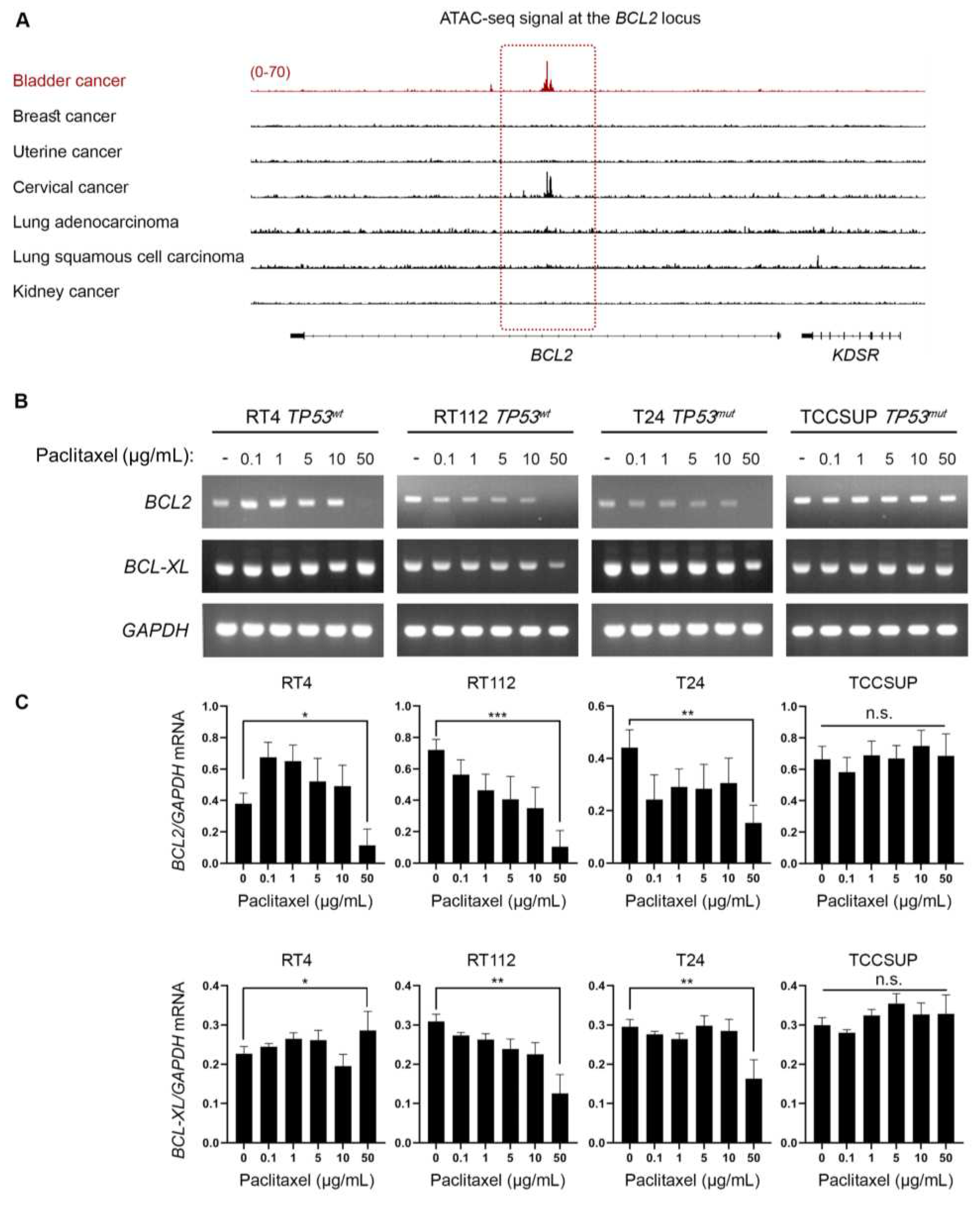 Preprints 77183 g005