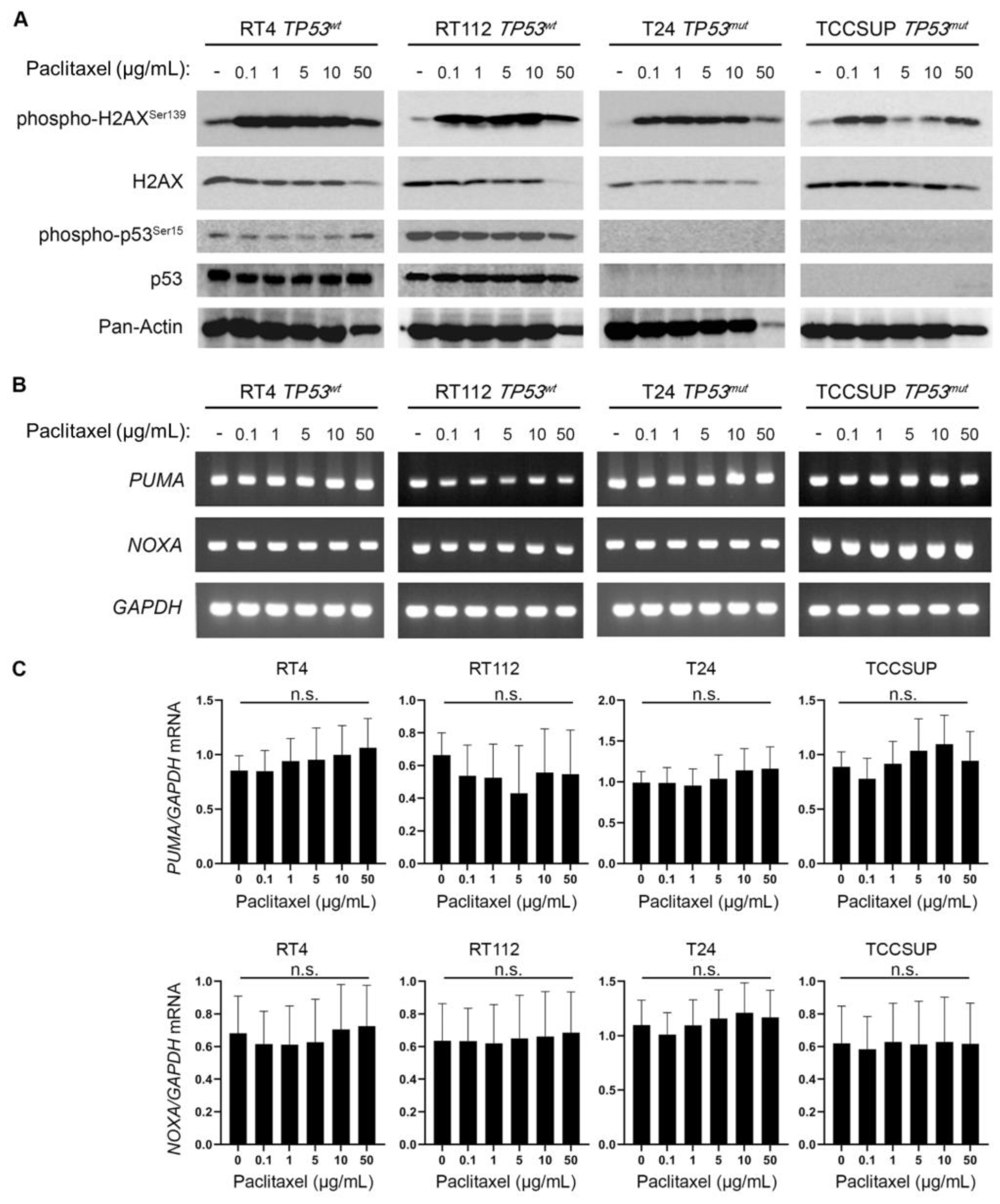 Preprints 77183 g006