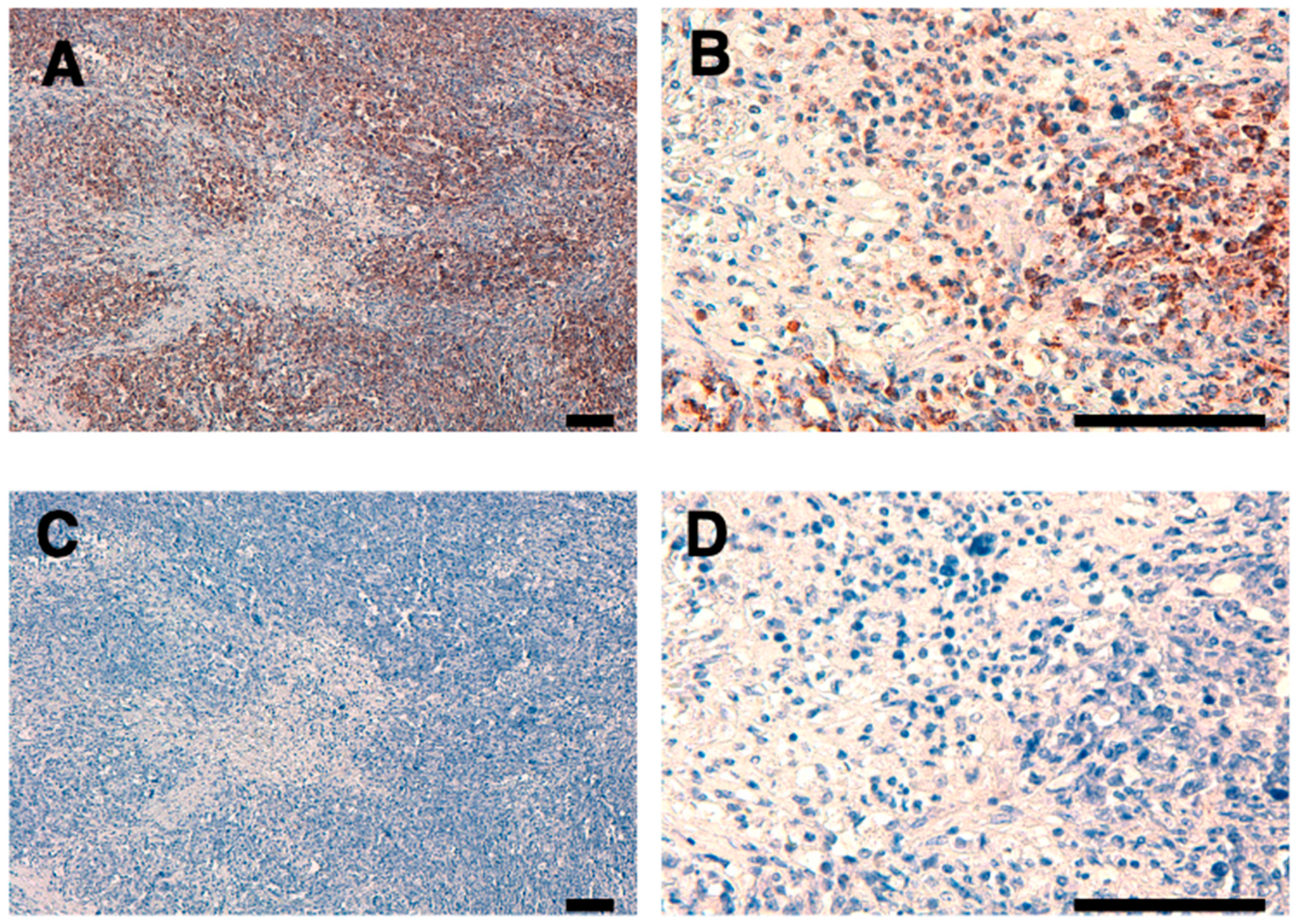 Preprints 69549 g004