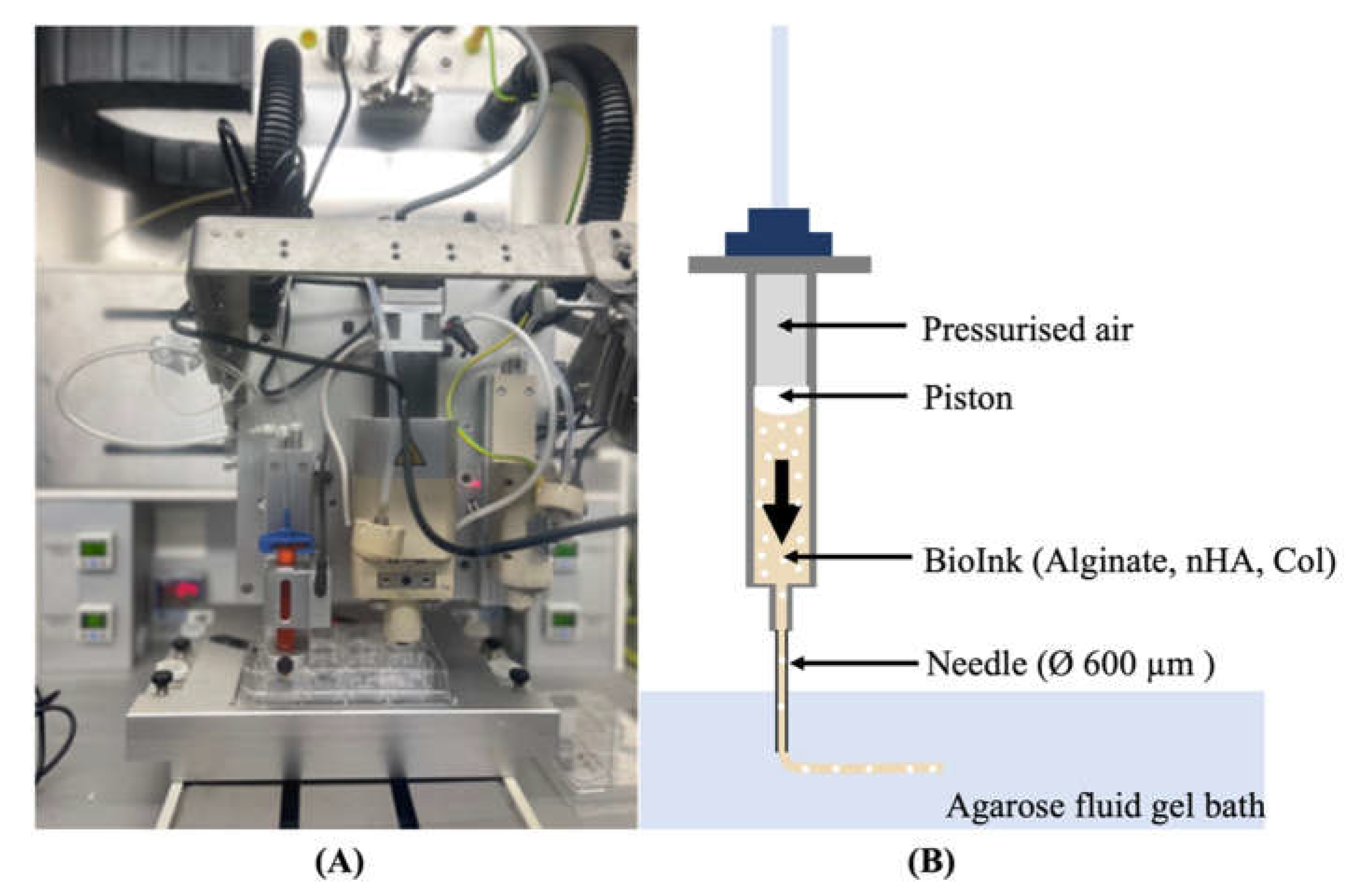 Preprints 114762 g001