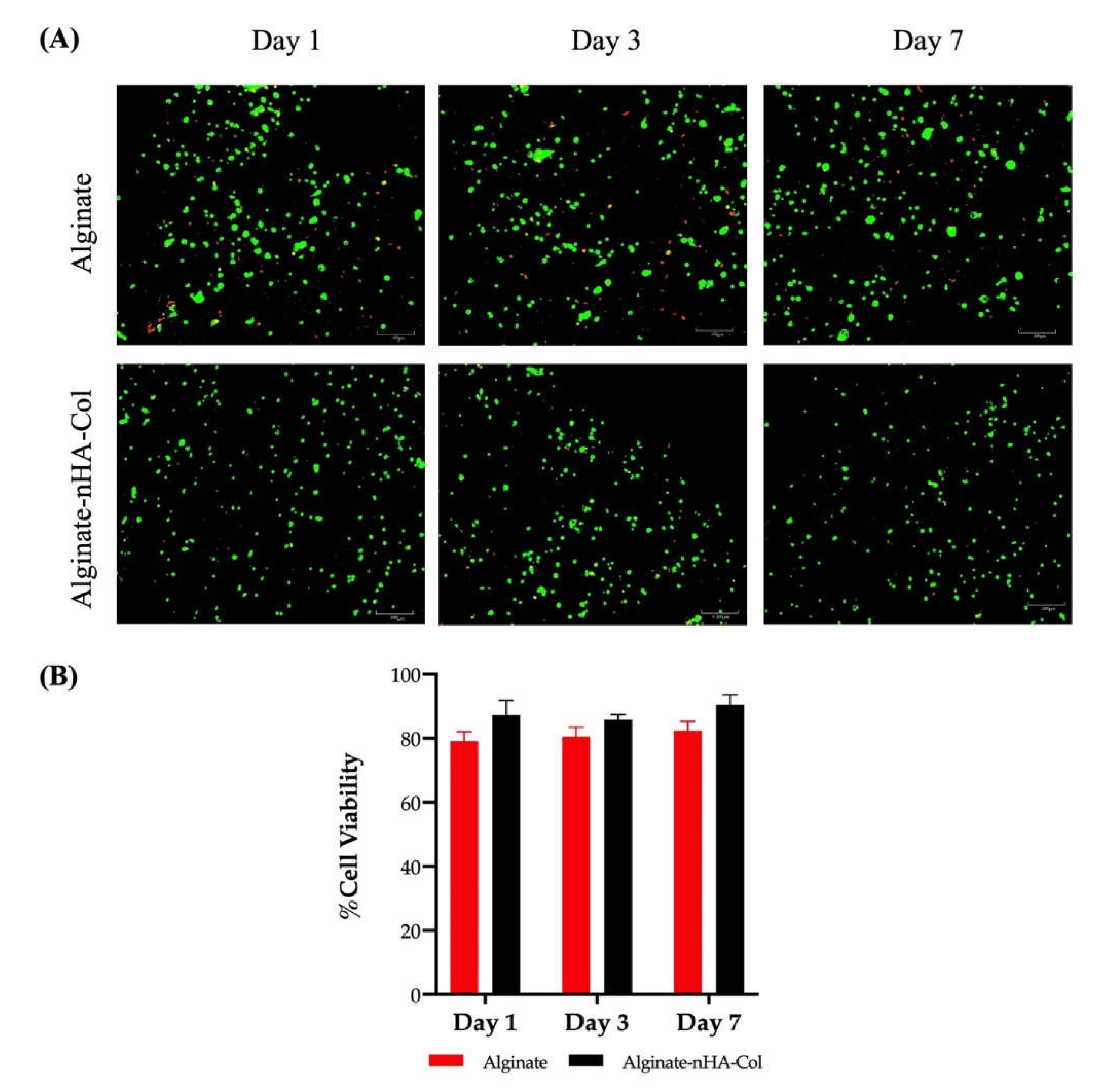 Preprints 114762 g006