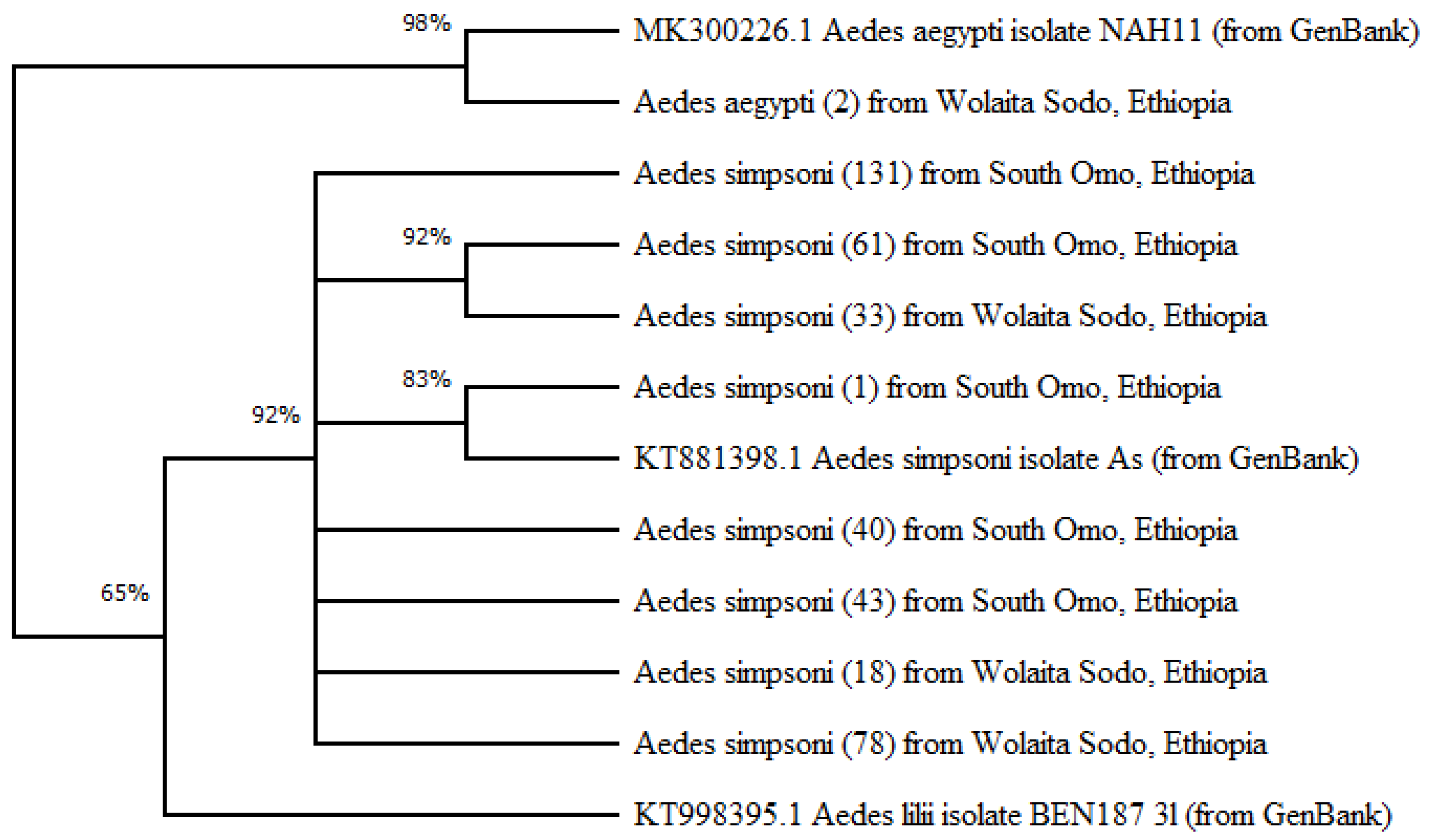 Preprints 68307 g005