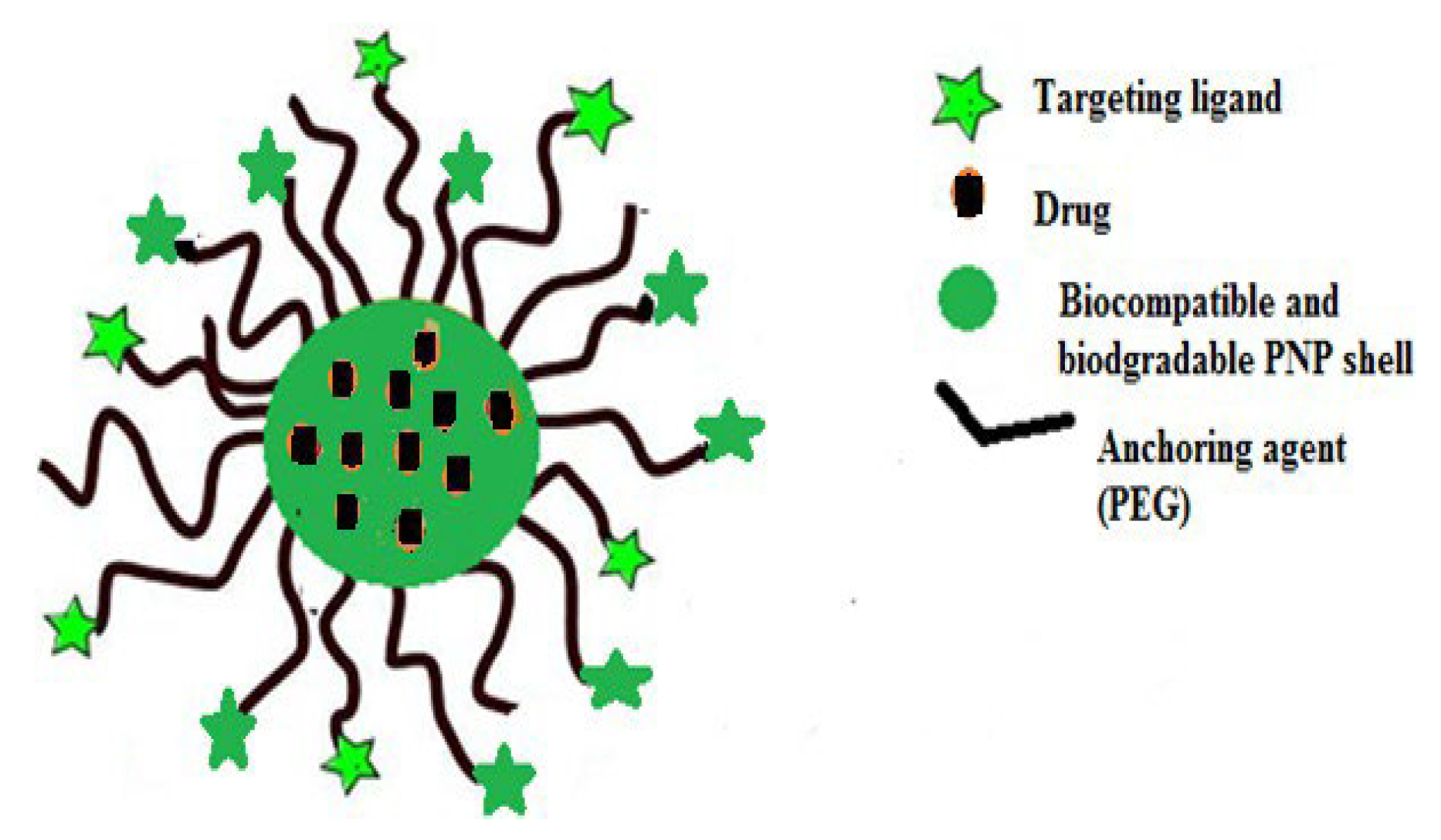 Preprints 99539 g006