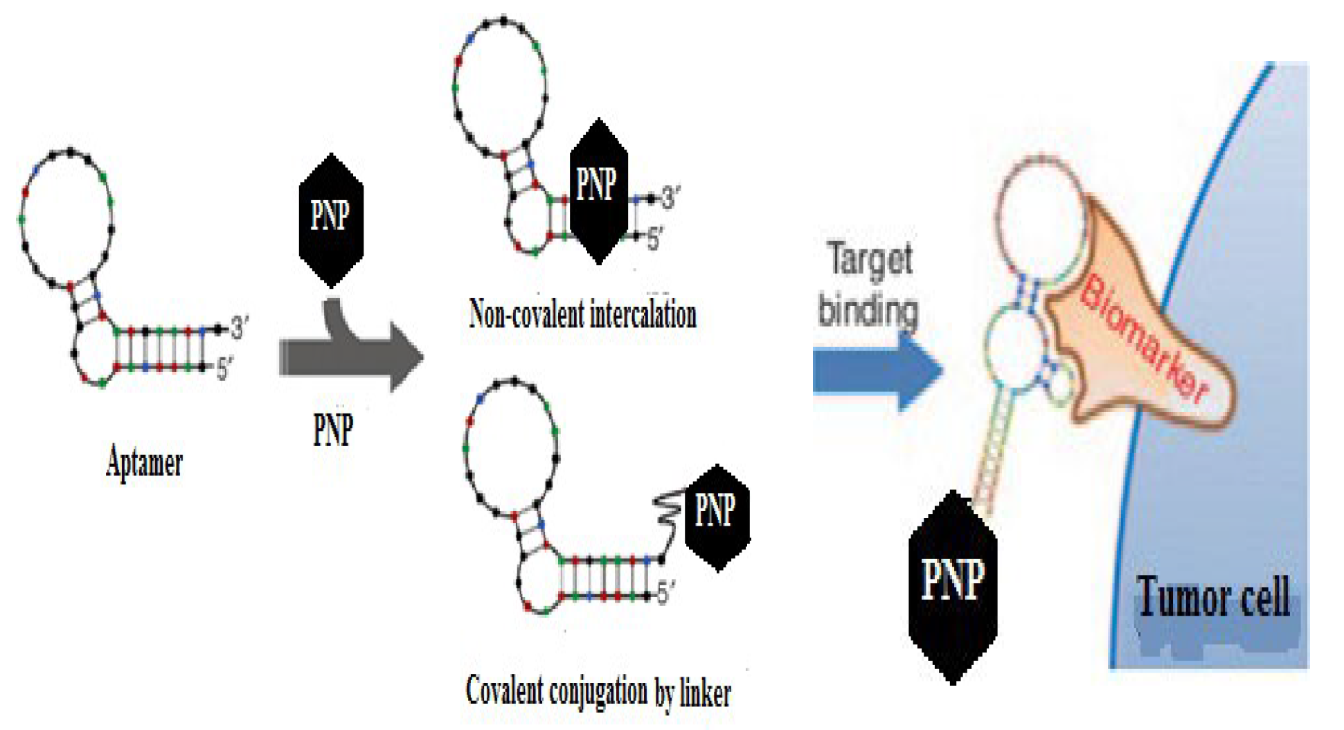 Preprints 99539 g009