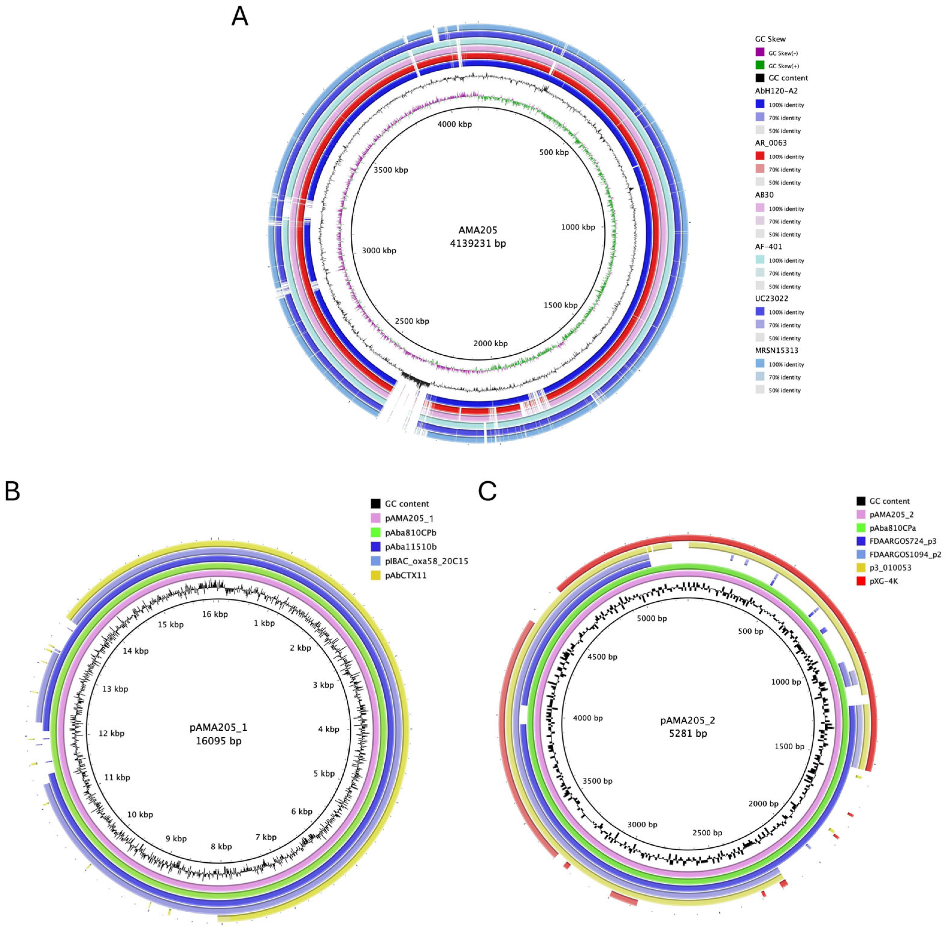 Preprints 119221 g001