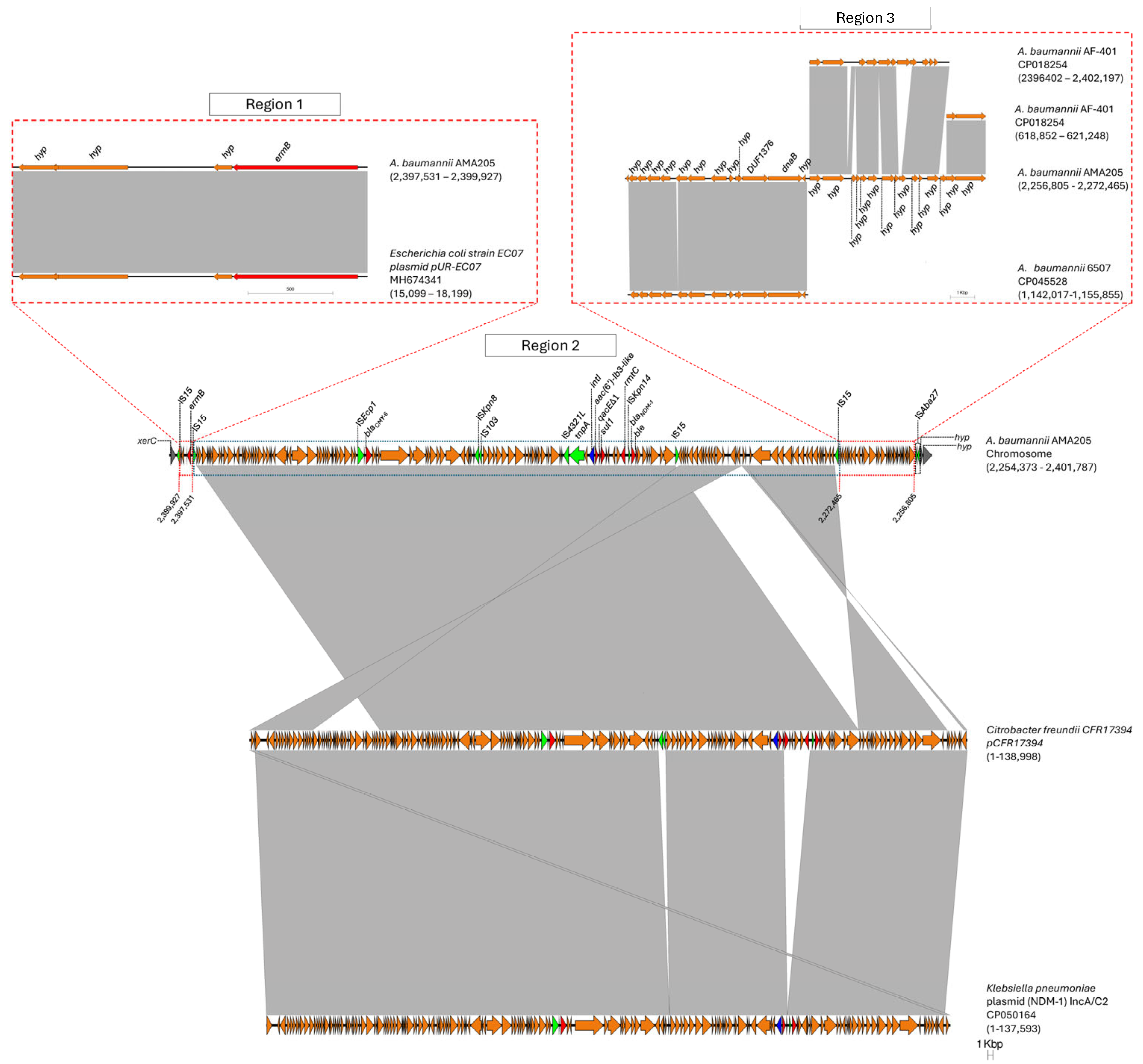 Preprints 119221 g004